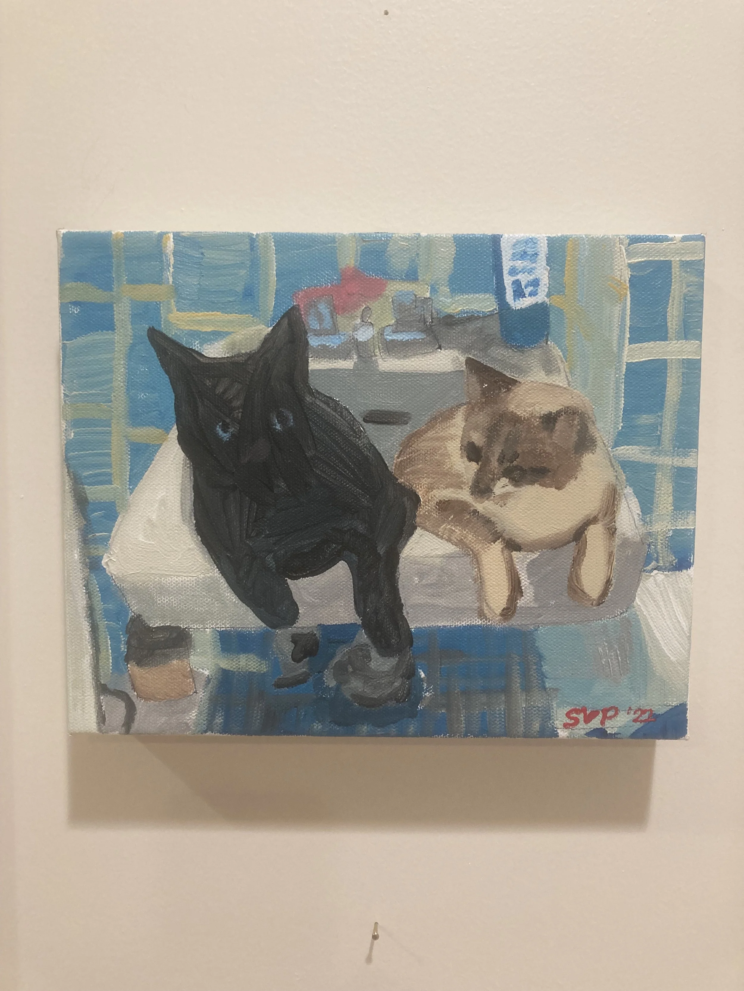 SVP - Cats in a Sink July 10 2022.jpeg