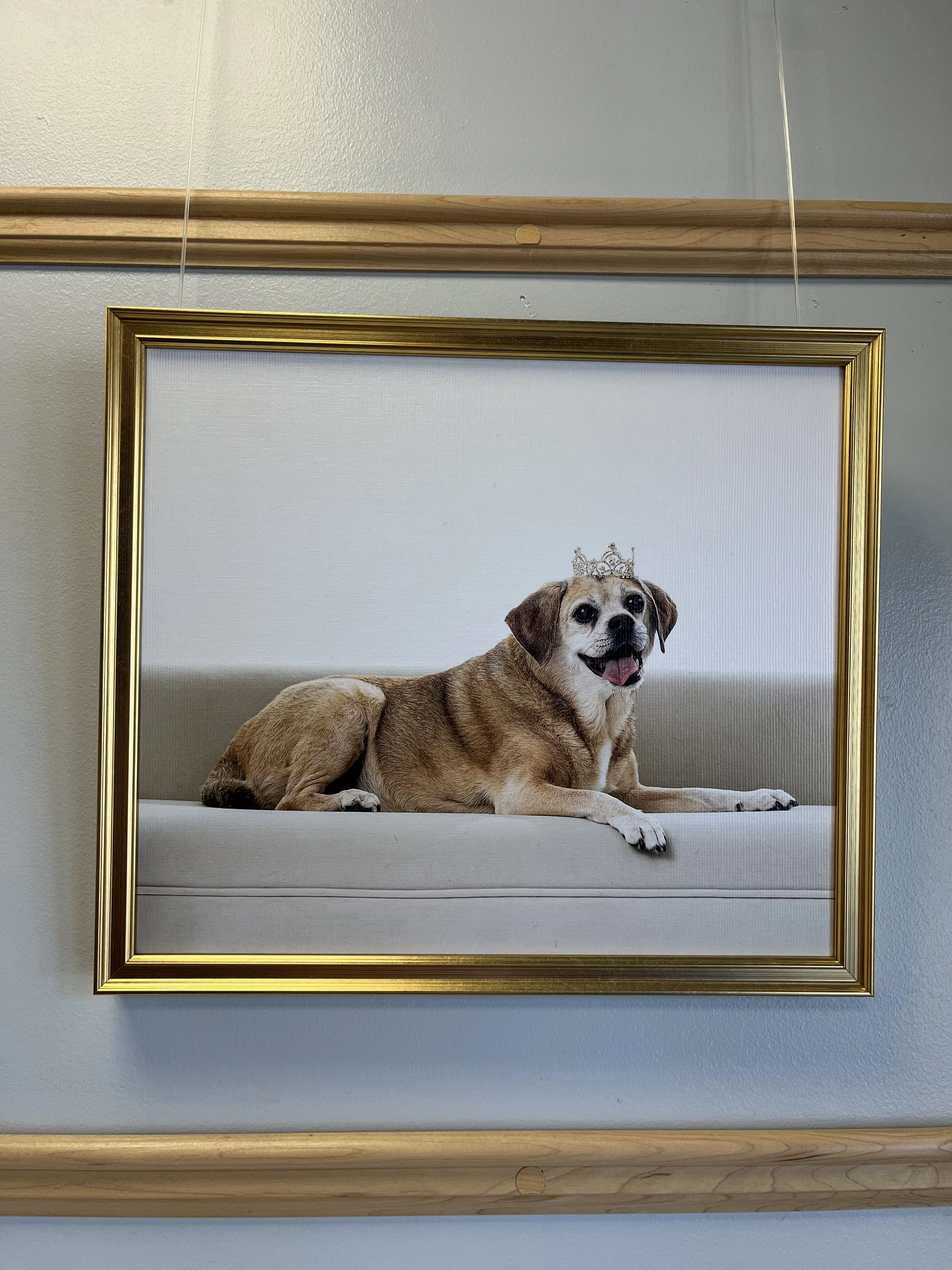 Blue Chicken - Photography by Paperkite