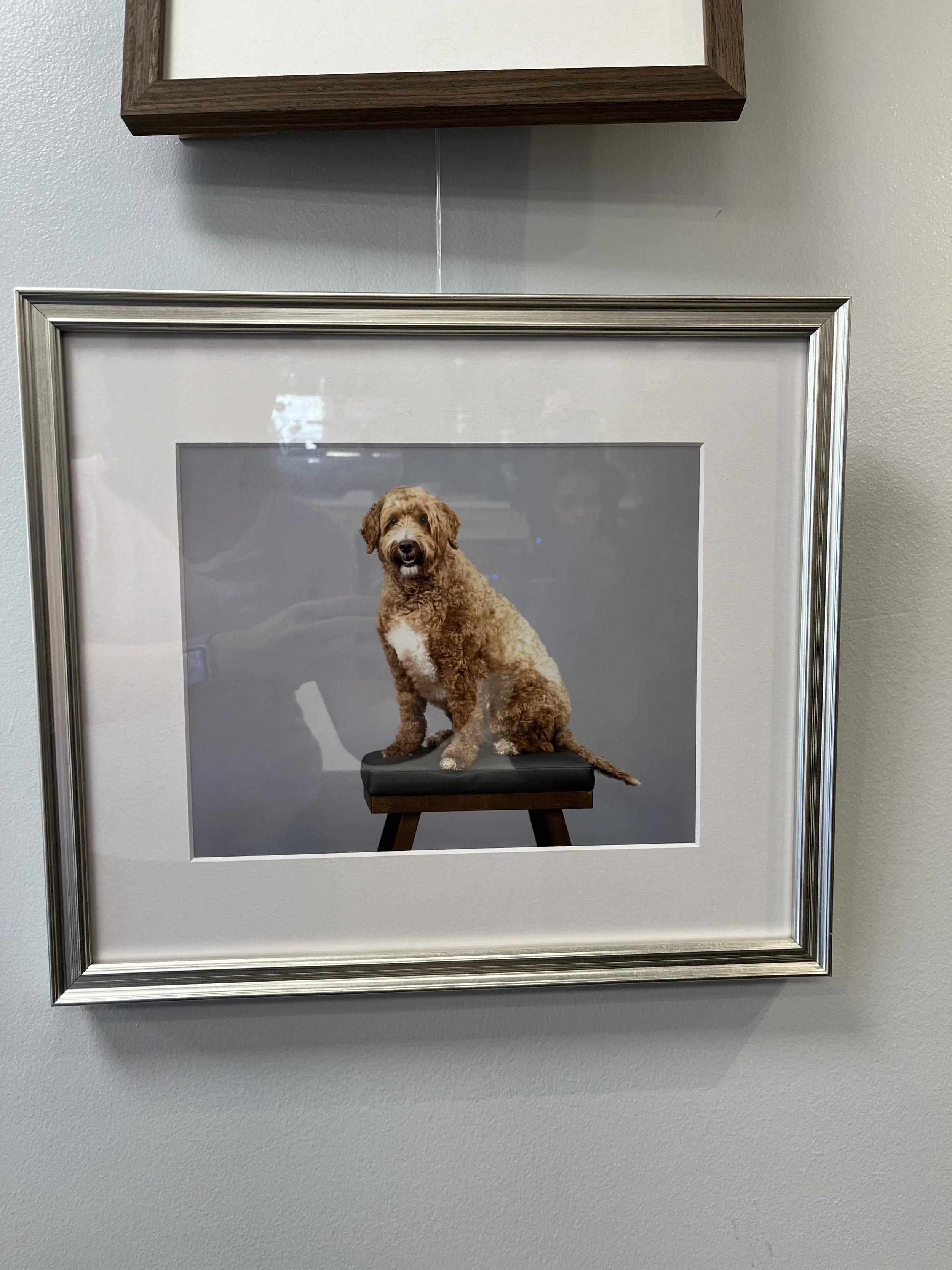 Blue Chicken - Photography by Paperkite