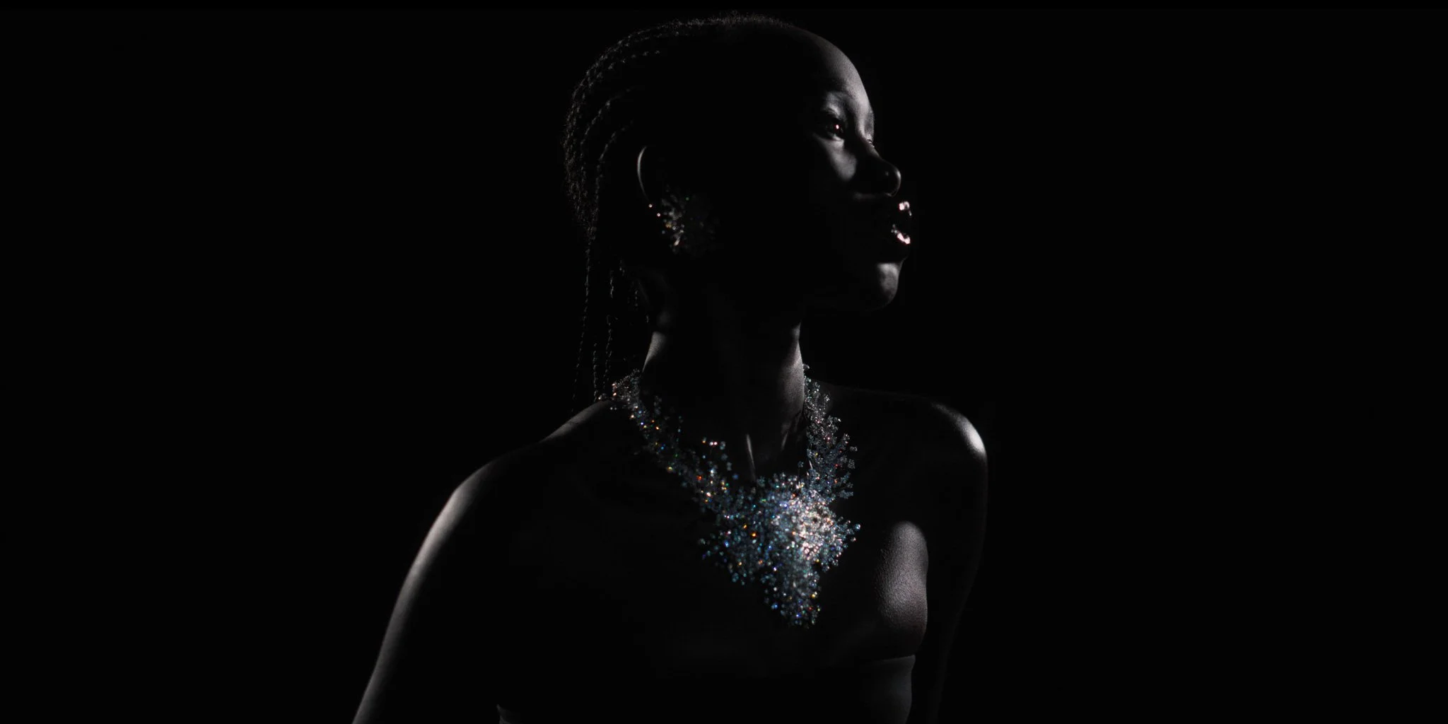 SWAROVSKI '100 Years'