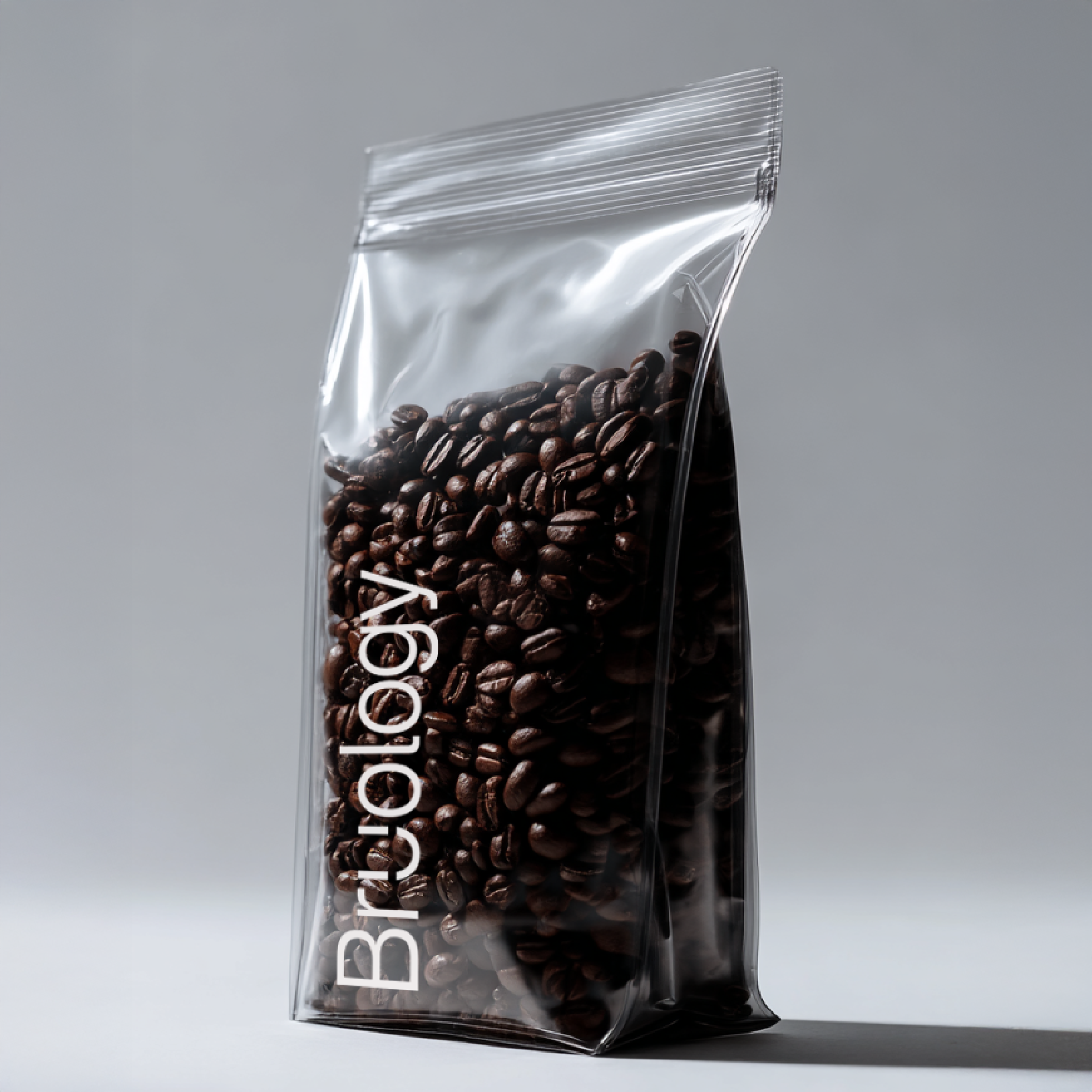 bru carouselbag square.png