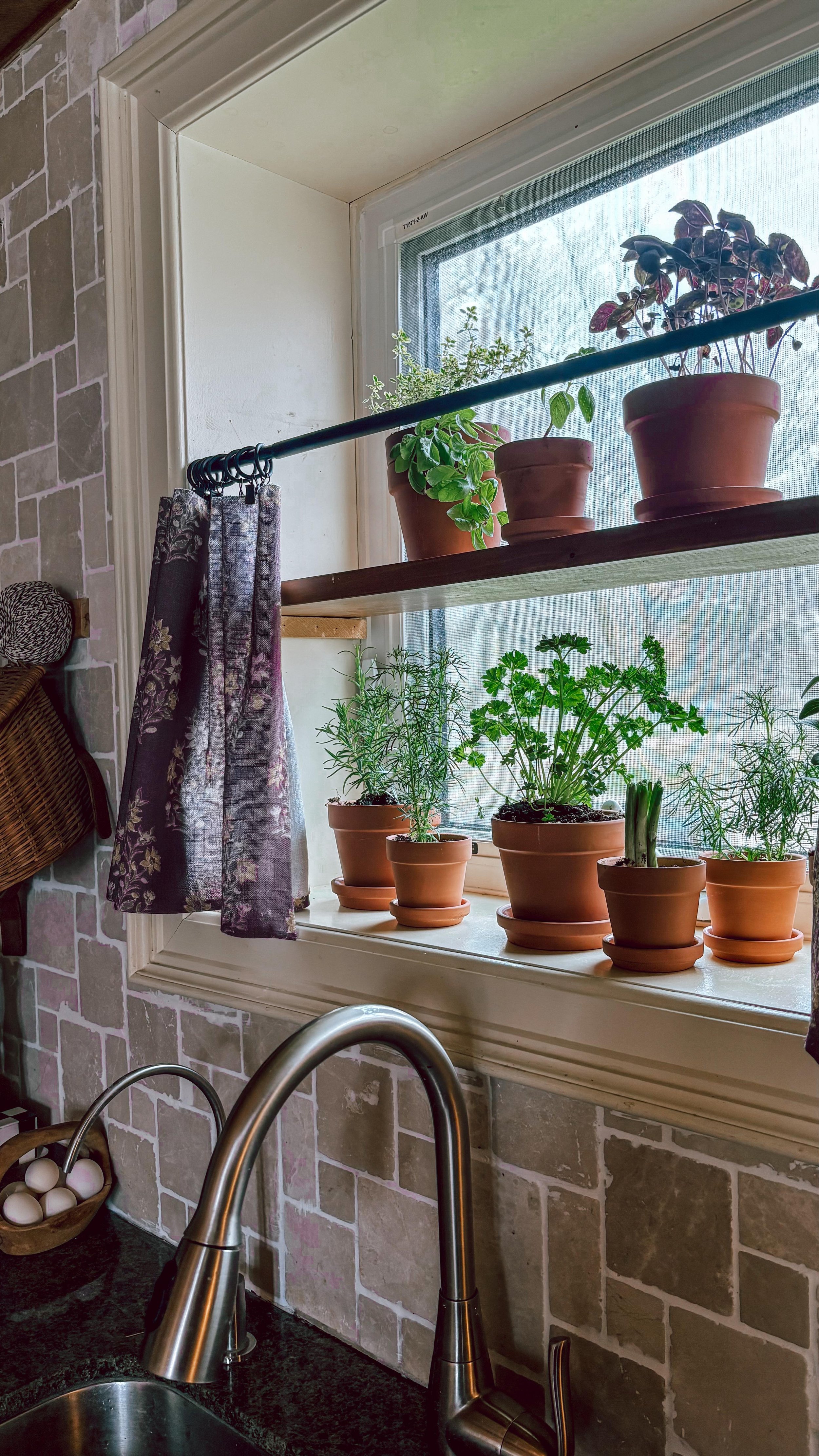 Which one do you think will die first? My bet’s on the basil.
Picked up some terracotta pots from Dollarama and debated weathering them—but laziness won.
I’m creating a little windowsill garden so I can snip herbs as I cook. The