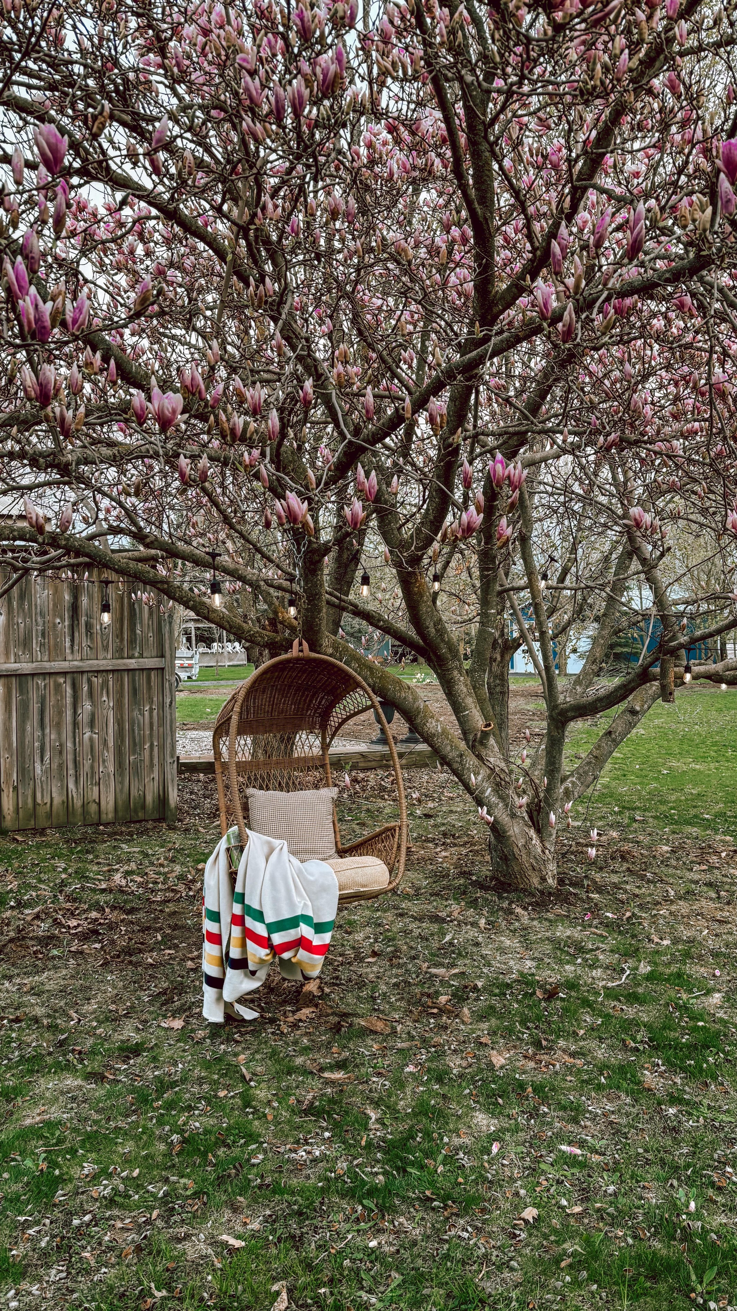 This little tree swing is already bringing me so much joy — can’t wait for the leaves to fill in, but for now I’m just soaking up the magic of this magnolia.
Ended up rethrowing the chain when I realized it was only looped over the