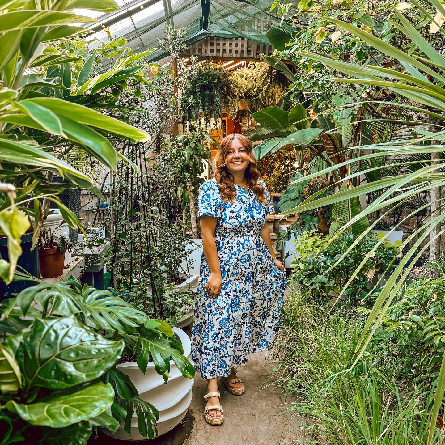 Manifesting used to never be my thing… but now it’s all I do.
There’s something special in the works—some of you already know, but for those who don’t… any guesses? β¬οΈ it doesn’t involve me growing plants