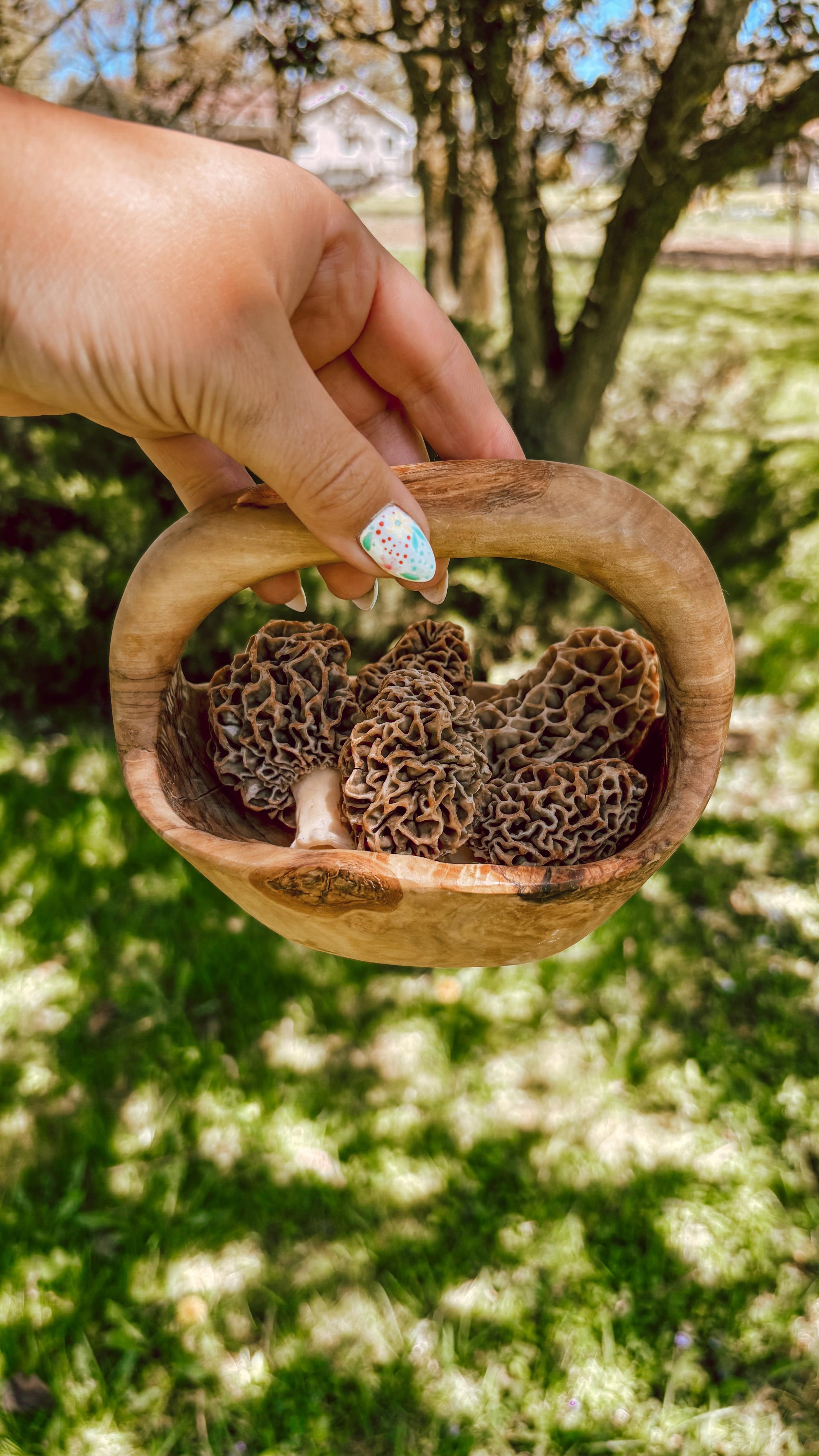 Slowly entering my homestead era… eggs, mushrooms, and apples? A farm stand might be next. Just kidding—I've already got more projects than fridge space. π‍π«ππ₯