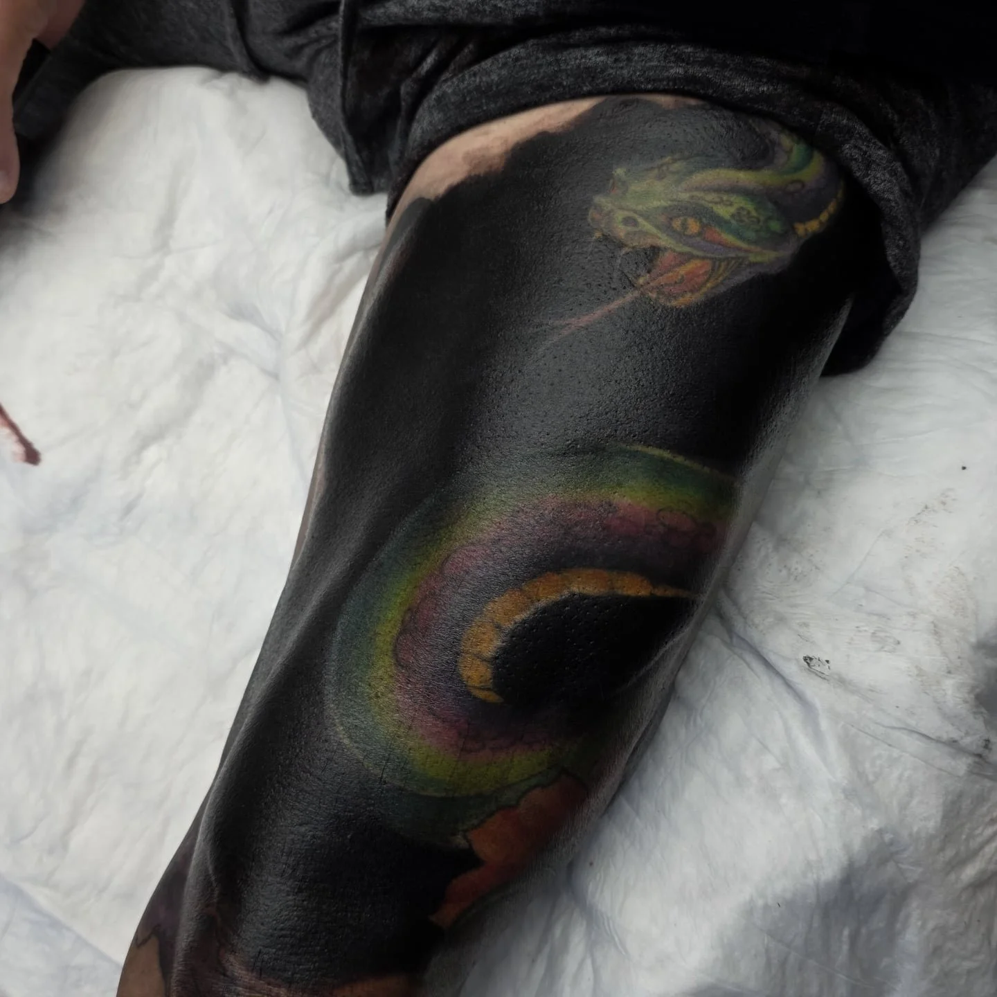Black
1 of many sessions
.

.
.
.
.
Booking for October-December in NYC and Staten Island
.
.
.
.
.
.
.
.
.
.
.
Take care of your tattoo, eat good, listen to your body. I did my part, now your body has to do its part and you also have to do yours.🔥
