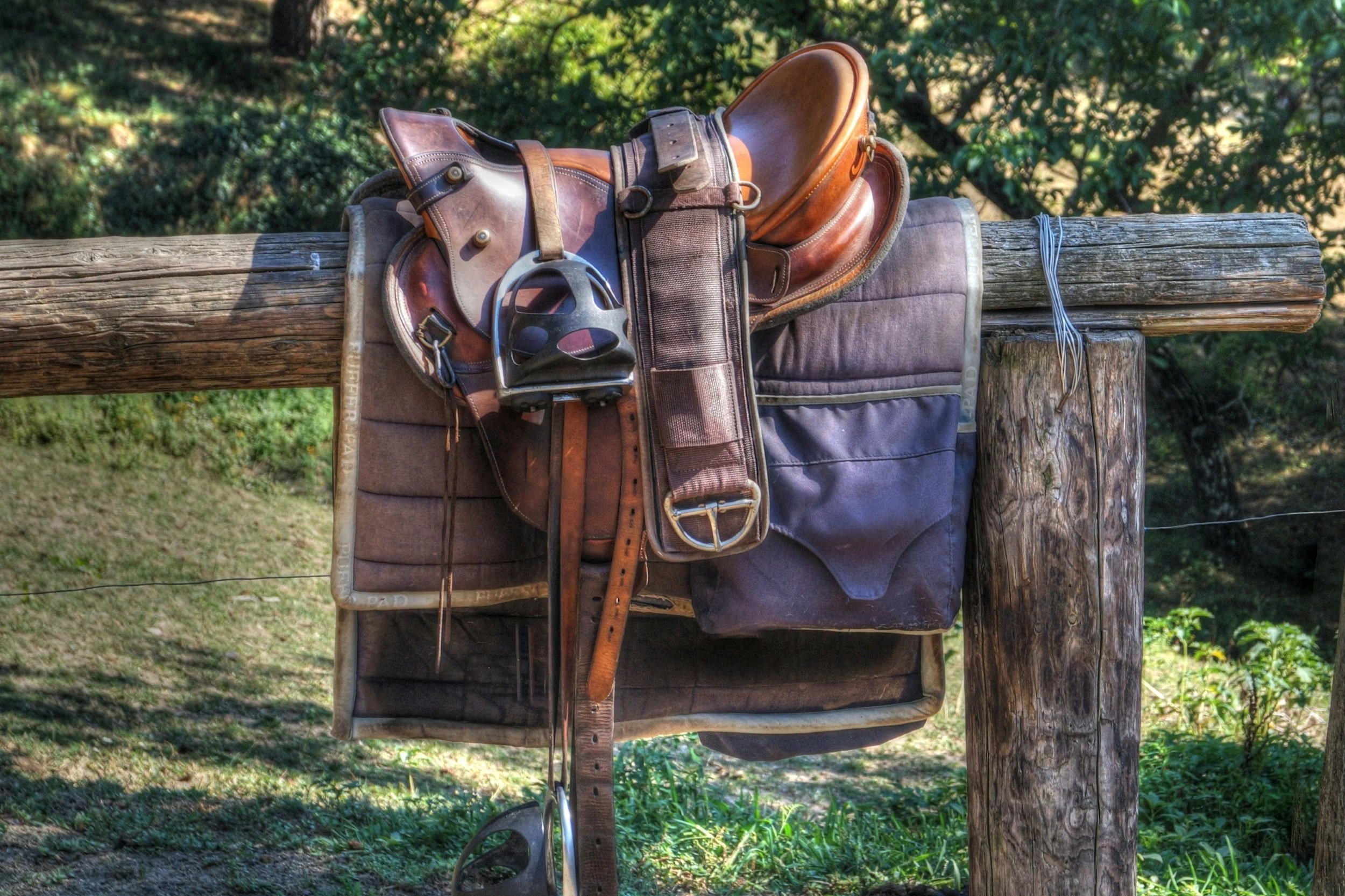 Horseback Riding Will Soon Reclaim Central Park’s Forgotten Bridle Paths