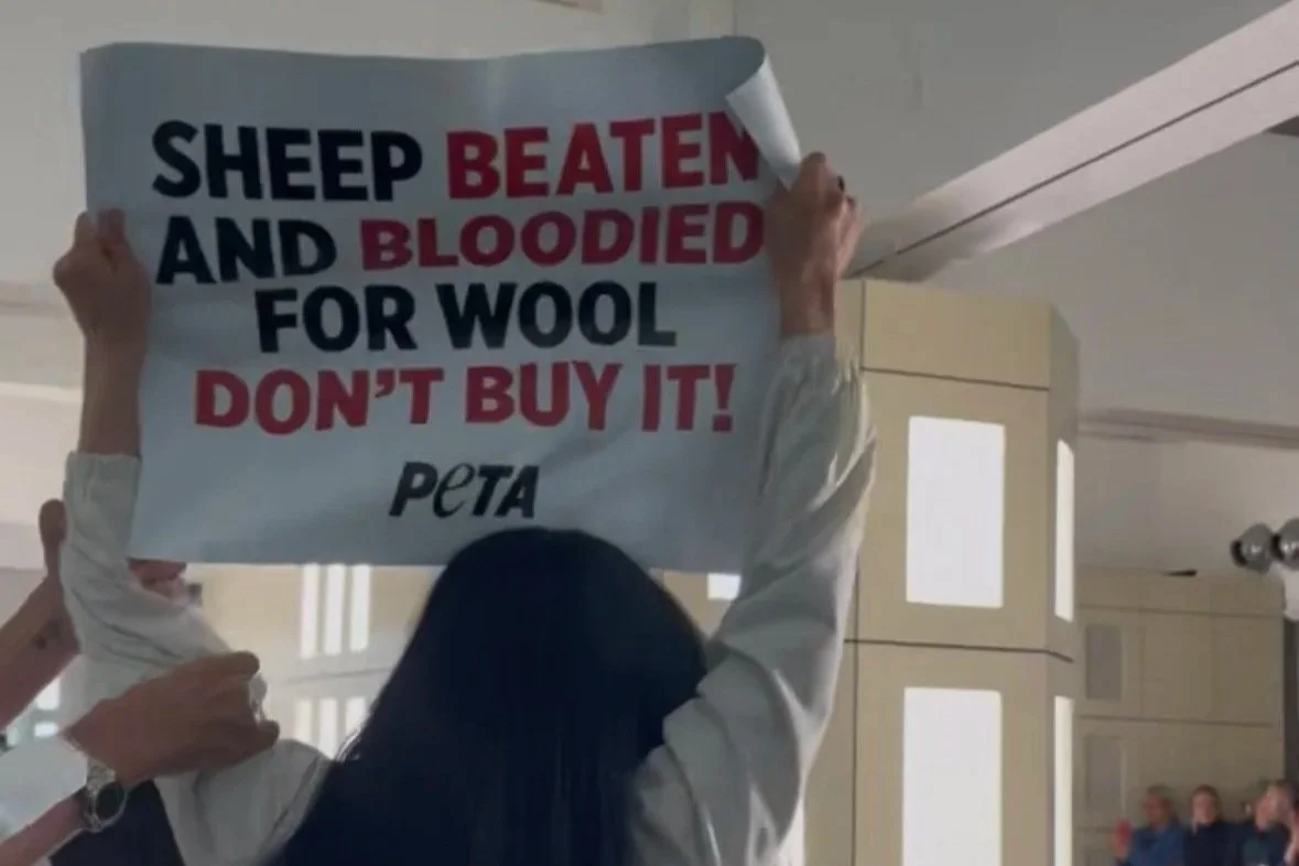 PETA Protesters Assaulted At COS Fashion Show By CEO Cosplaying As ICE