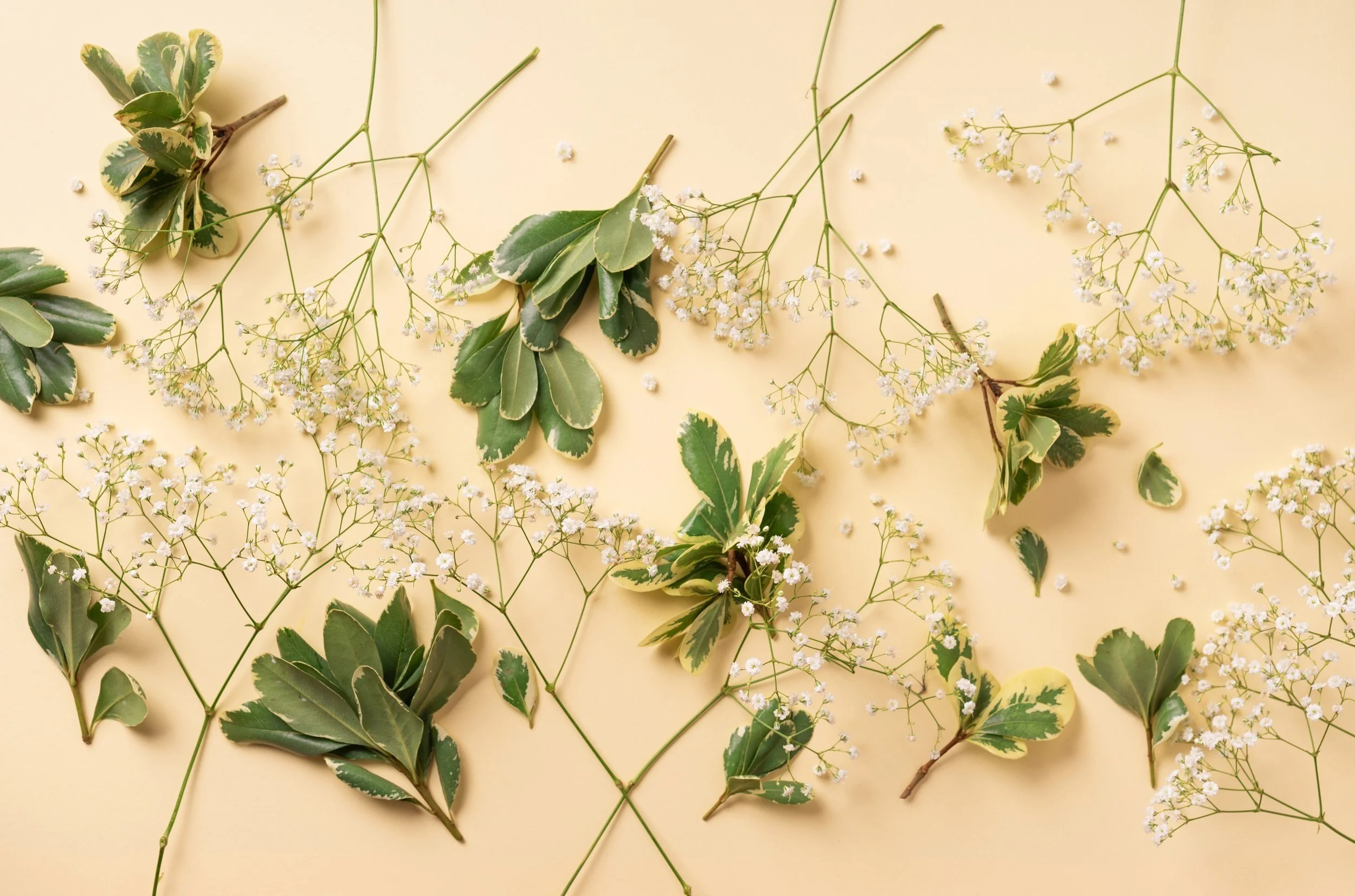 Le Petit Flore - Menu fête des mères