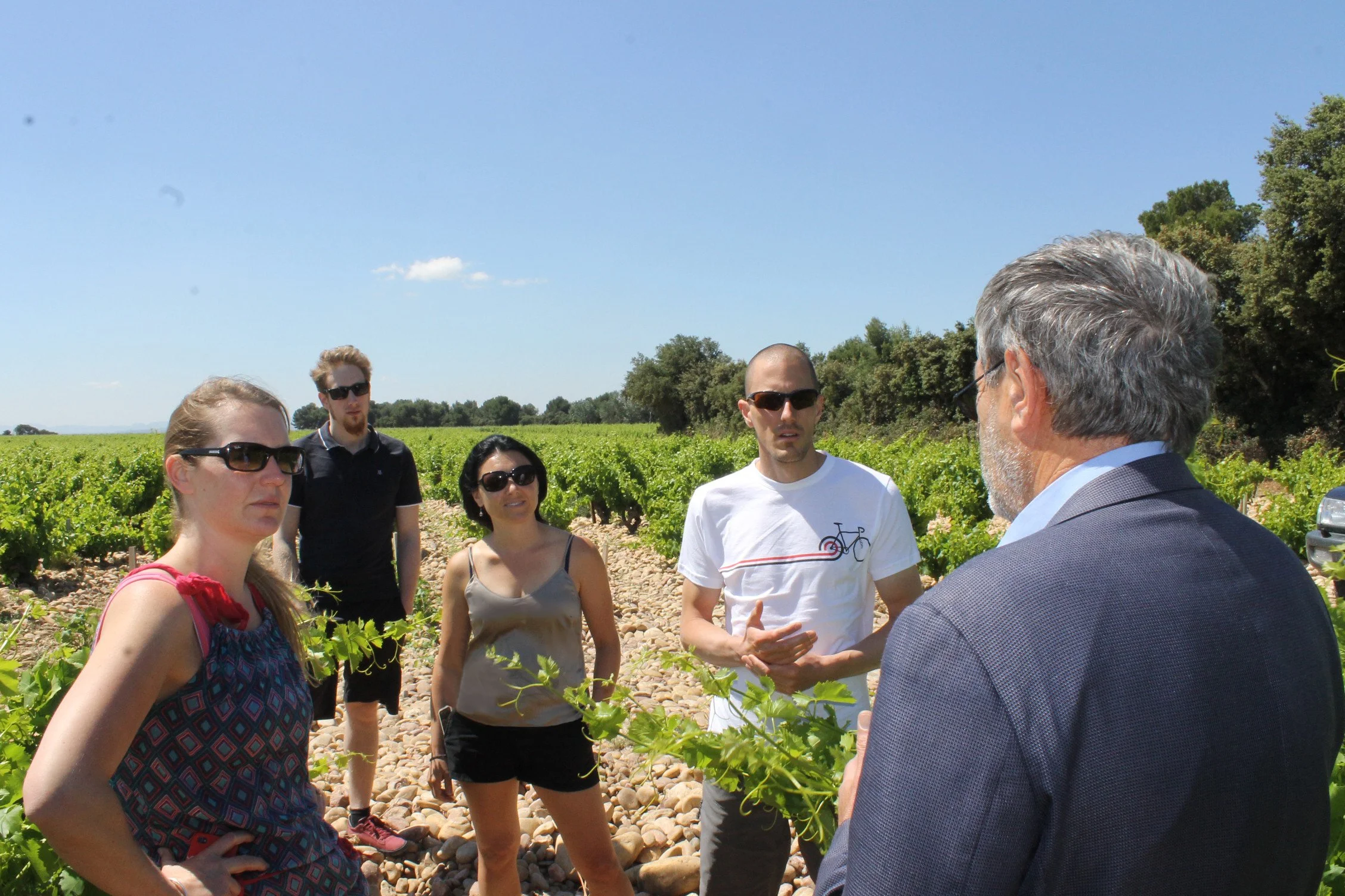 Groupe de personnes en discussion dans une vigne pendant une journée ensoleillée.