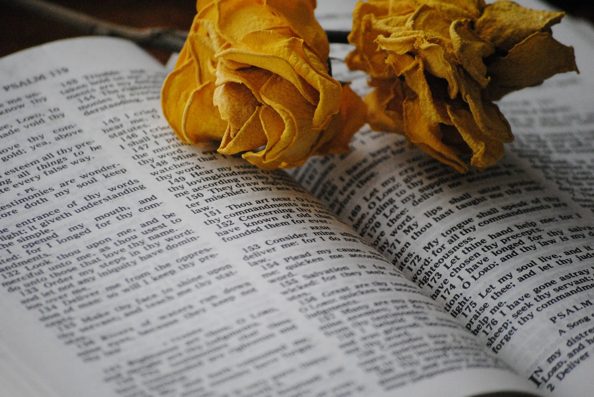 God cares about you