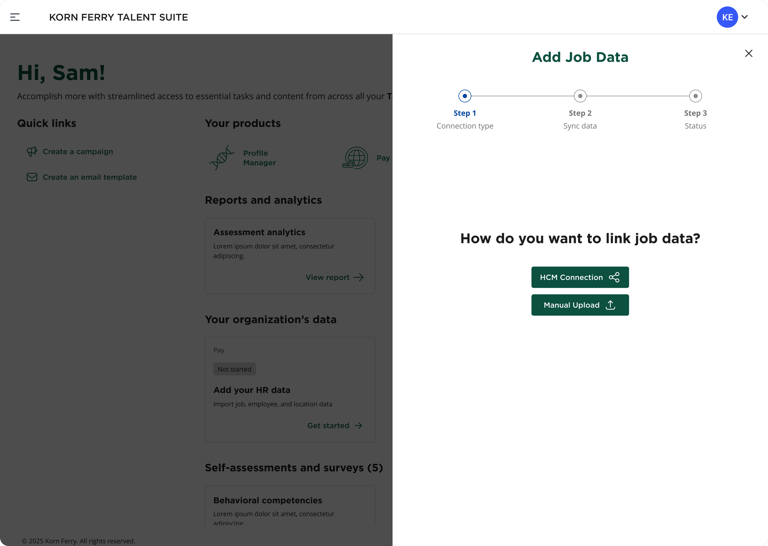 HCM Connection - Link Data Options - 4.png