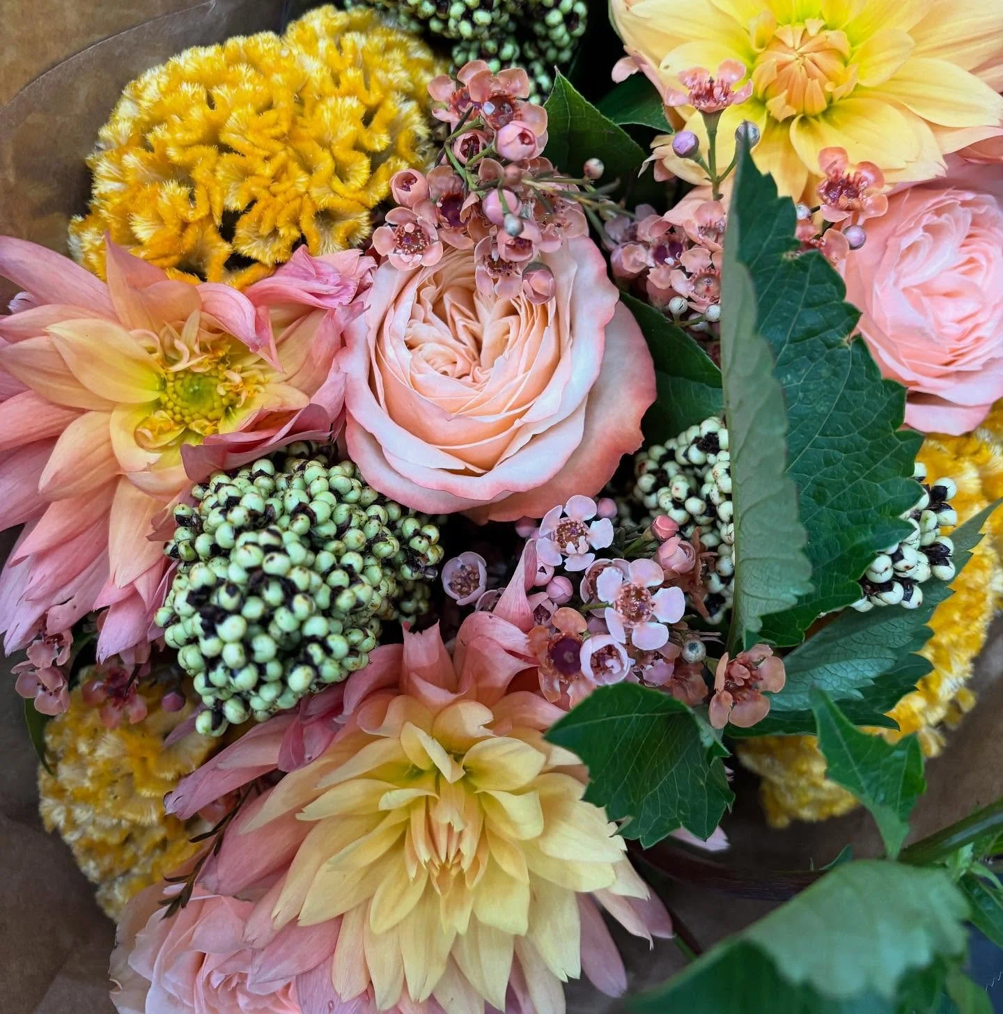 Dahlias for days