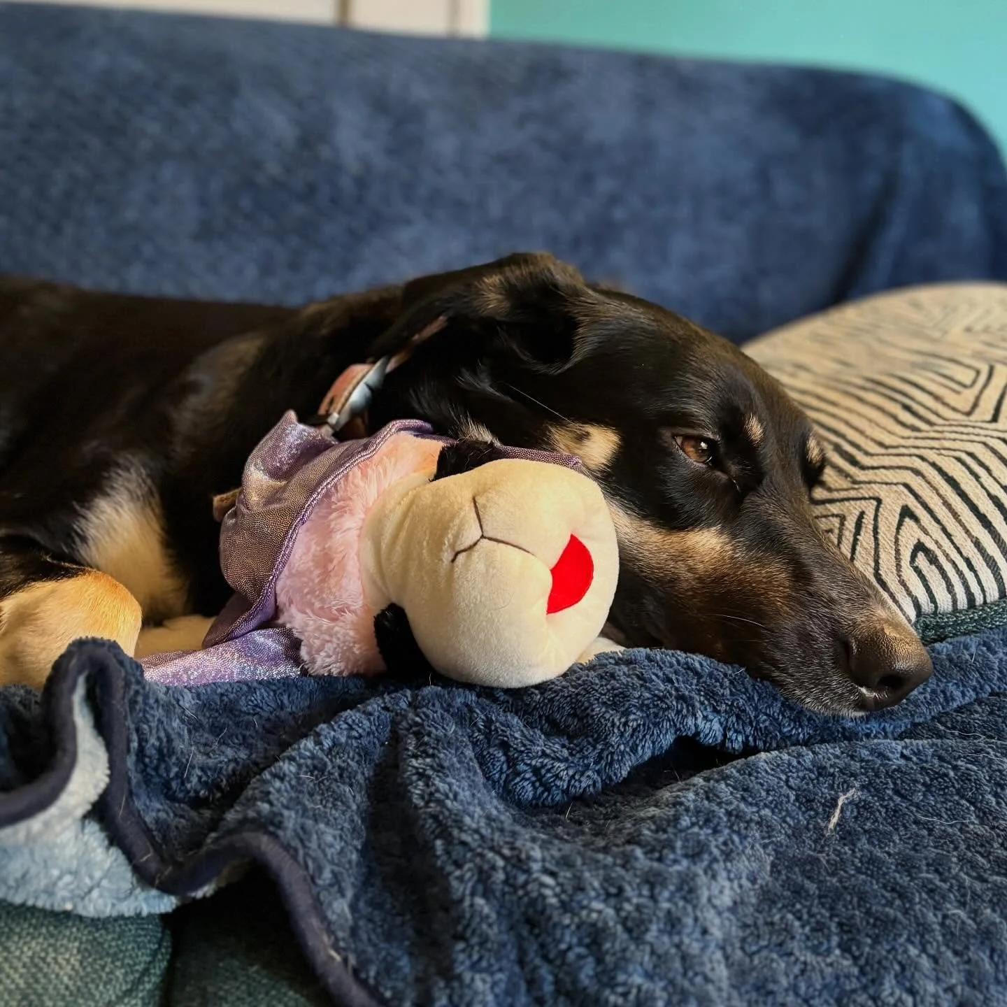 Rainy day with Lamby Witch