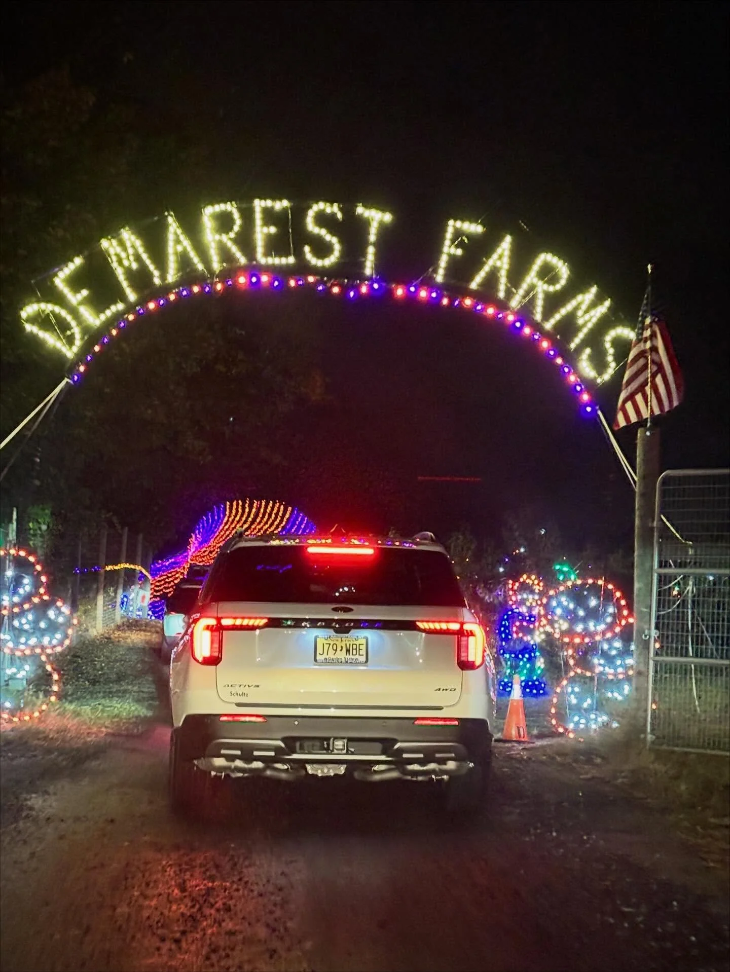 Halloween drive-through light show with my two bigger children. Both were impressed by the sparkly lights.