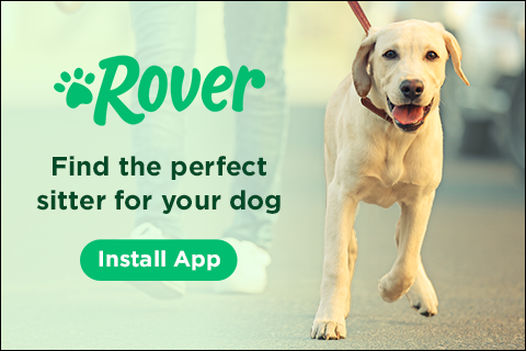 Rover
