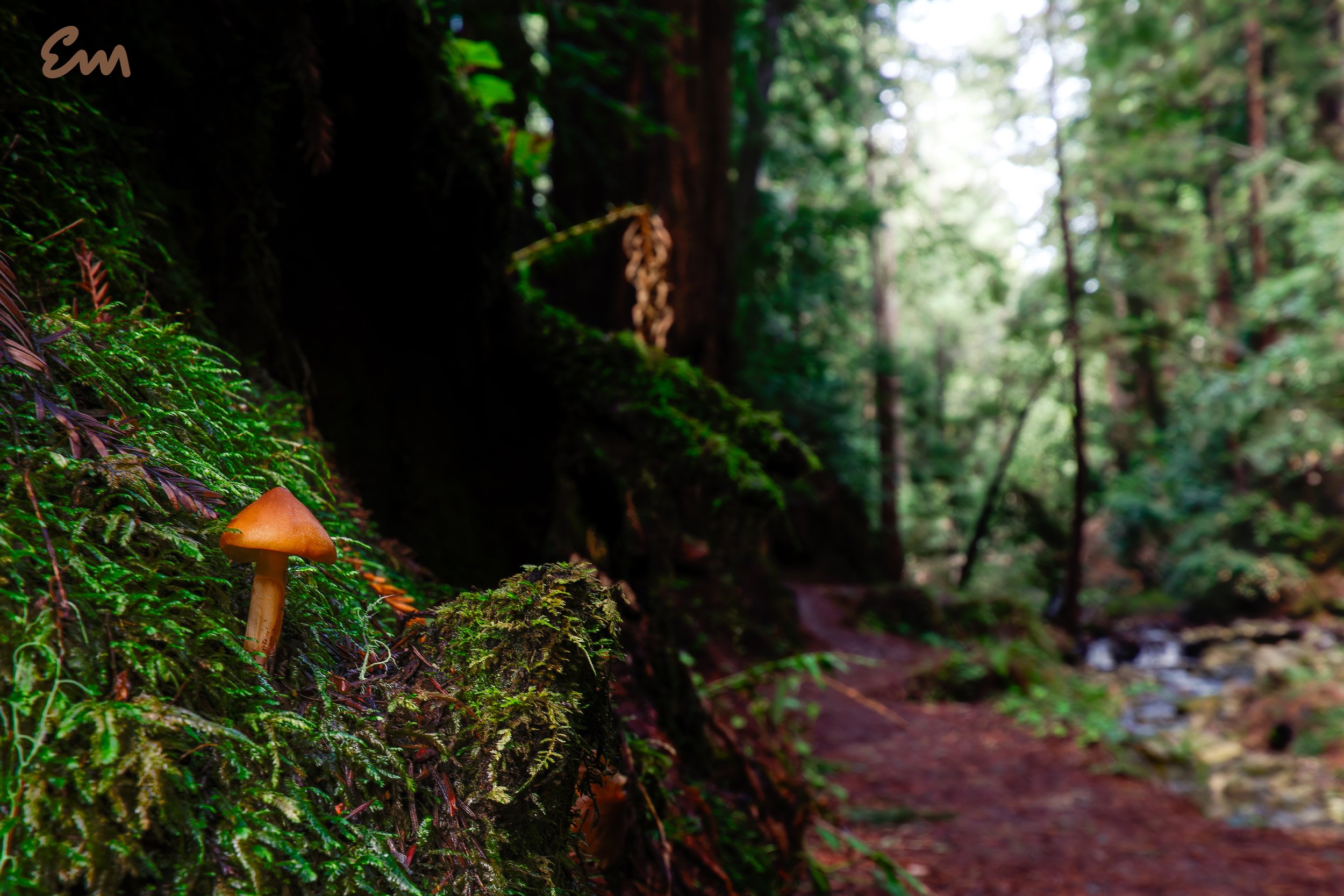 Fall Creek Landscape #140 (21.01.30, 30x20 signed).jpg