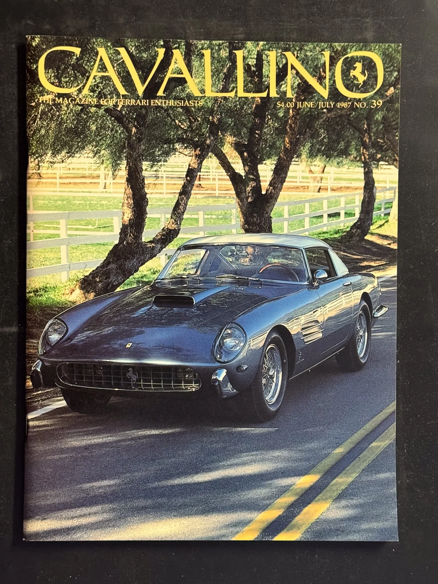 CAVALLINO-104.jpg