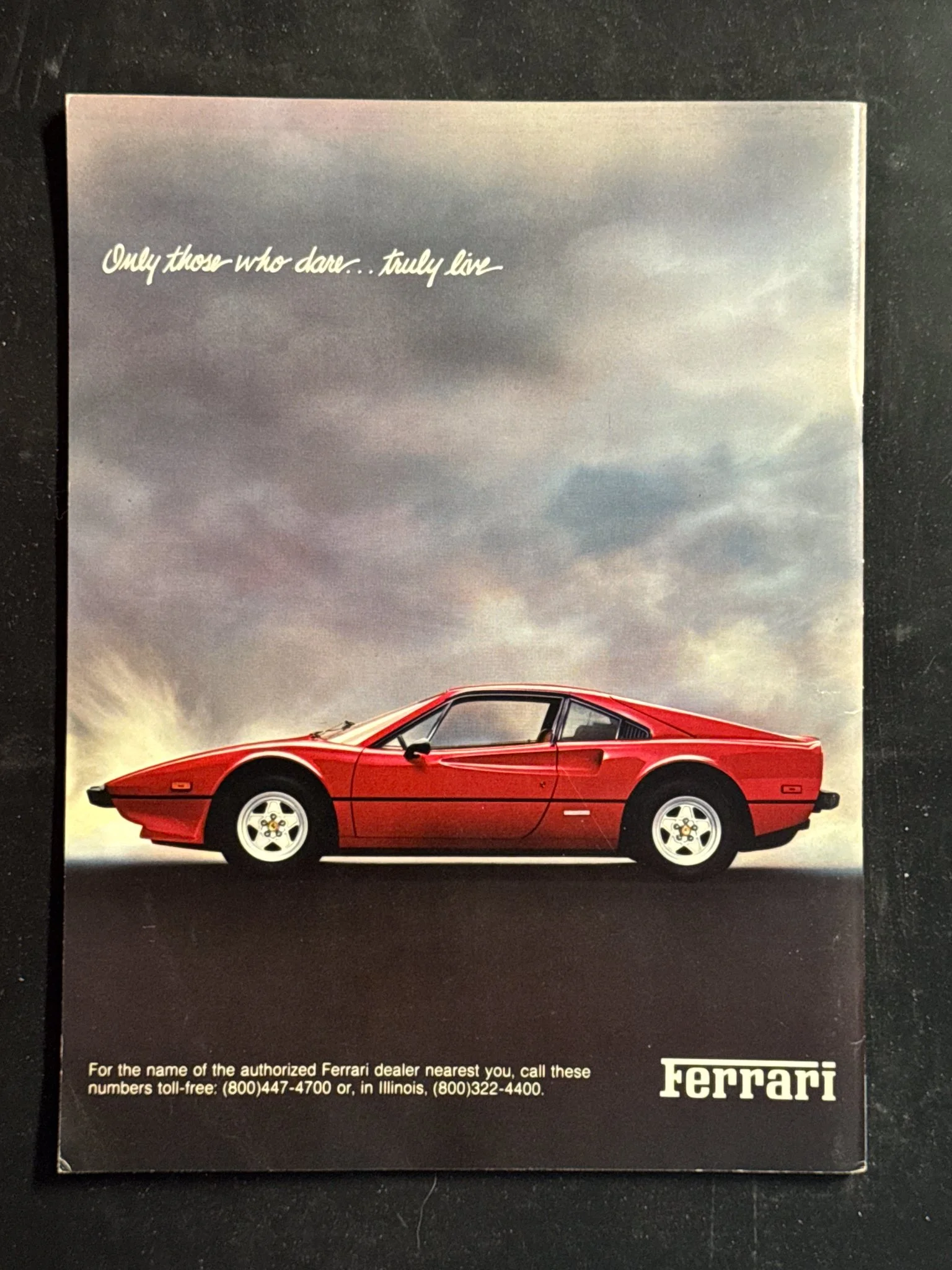 CAVALLINO-022.jpg