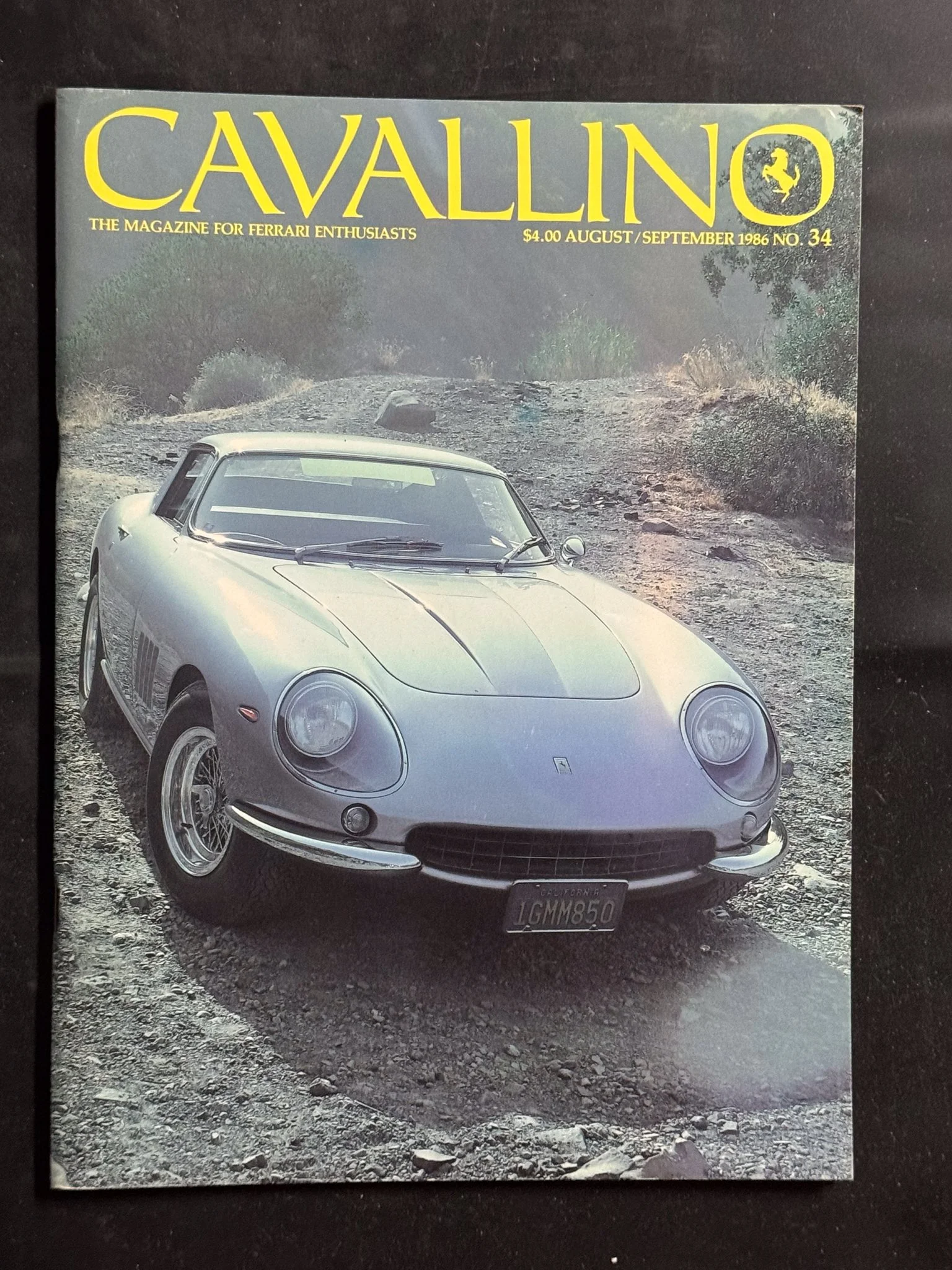 CAVALLINO-092.jpg