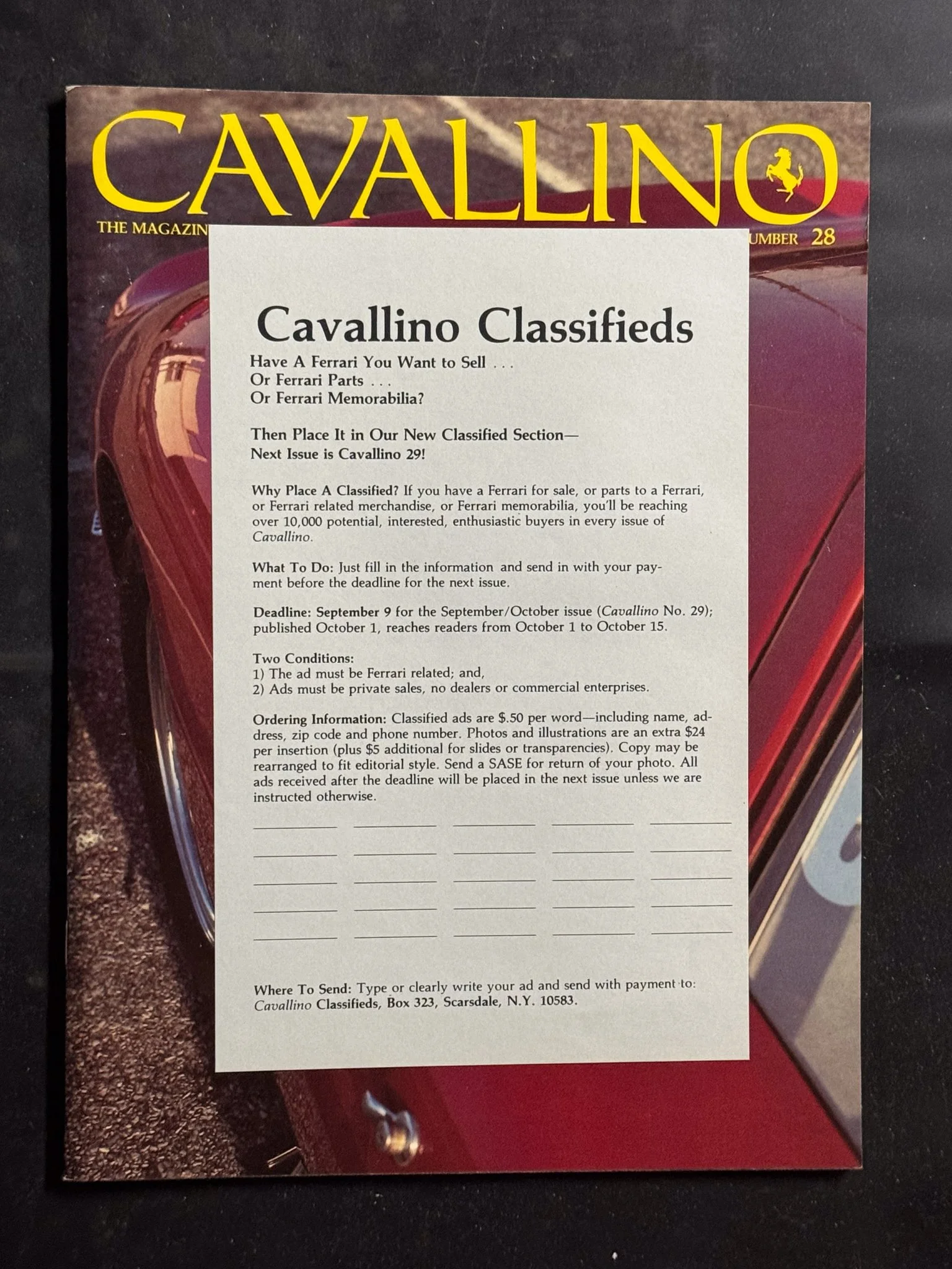 CAVALLINO-072.jpg