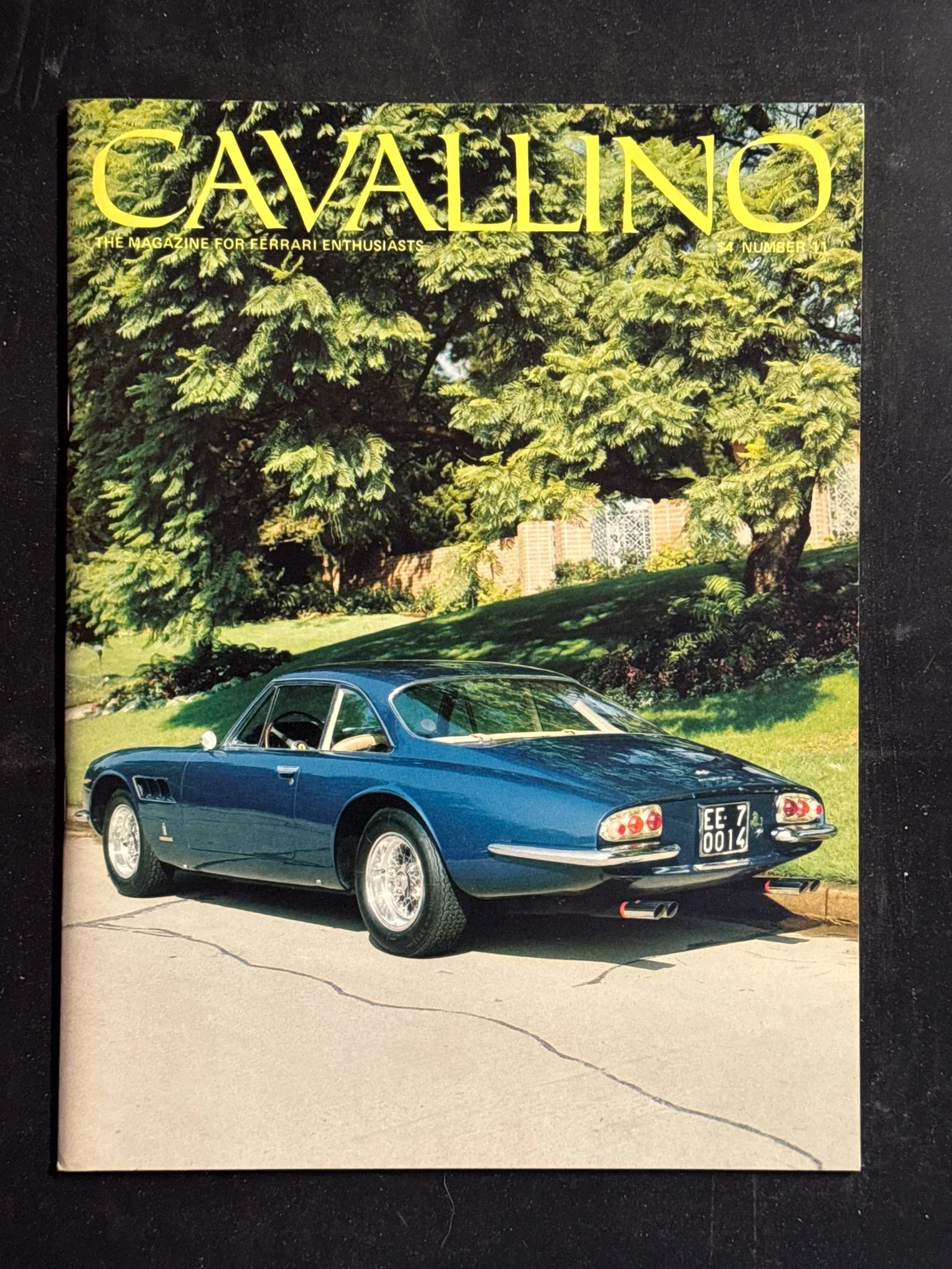 CAVALLINO-025.jpg