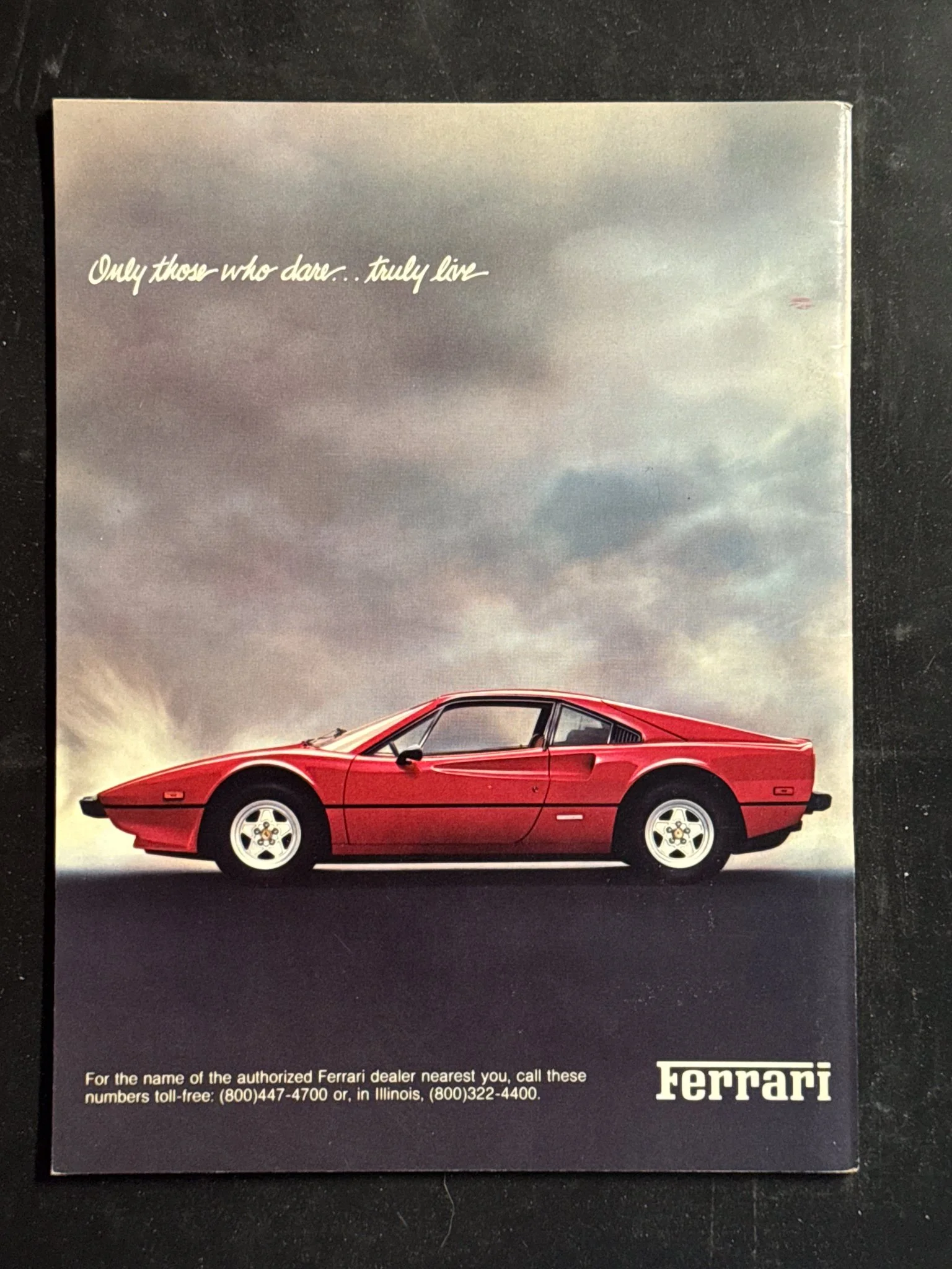 CAVALLINO-026.jpg