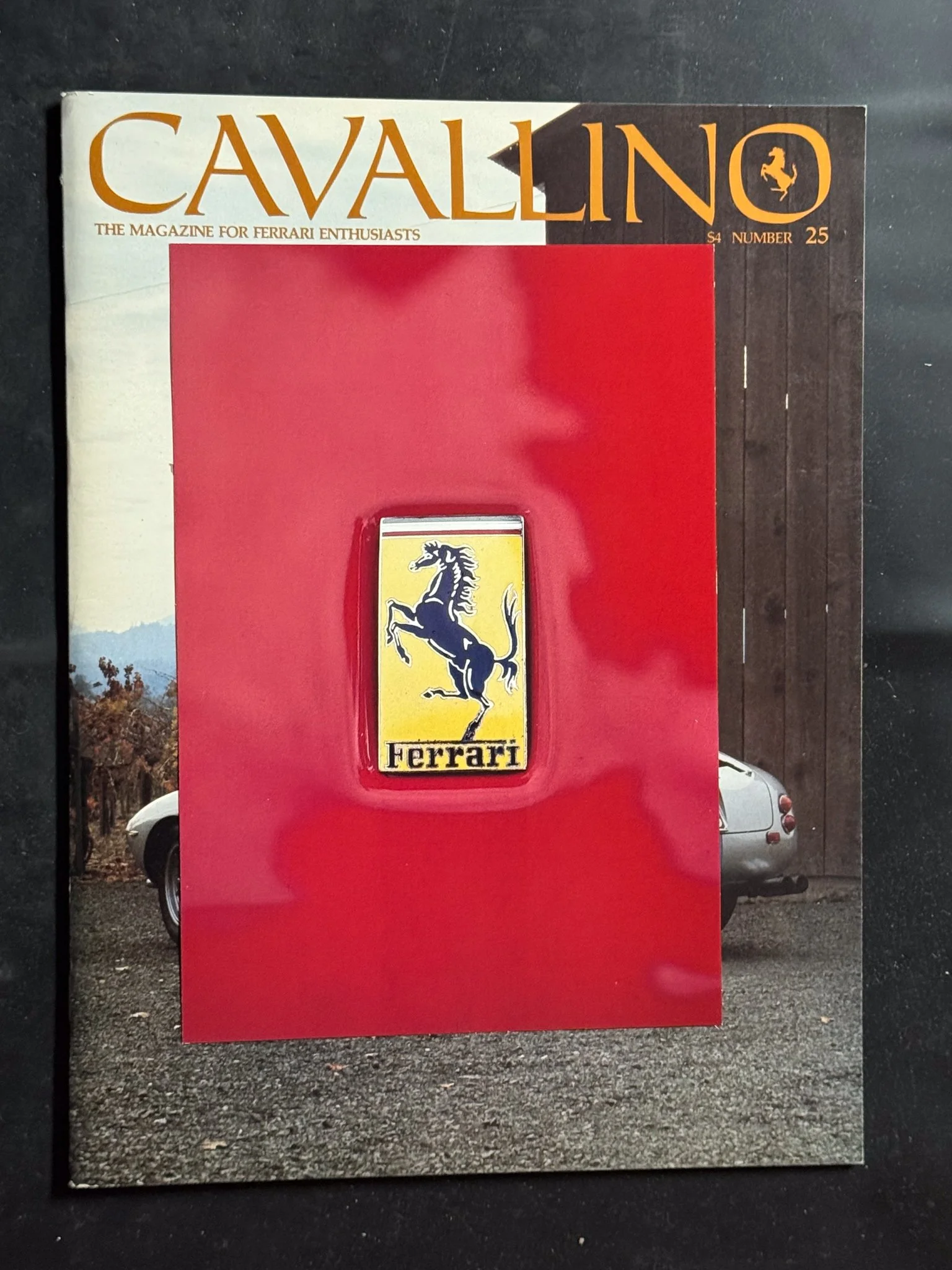 CAVALLINO-061.jpg