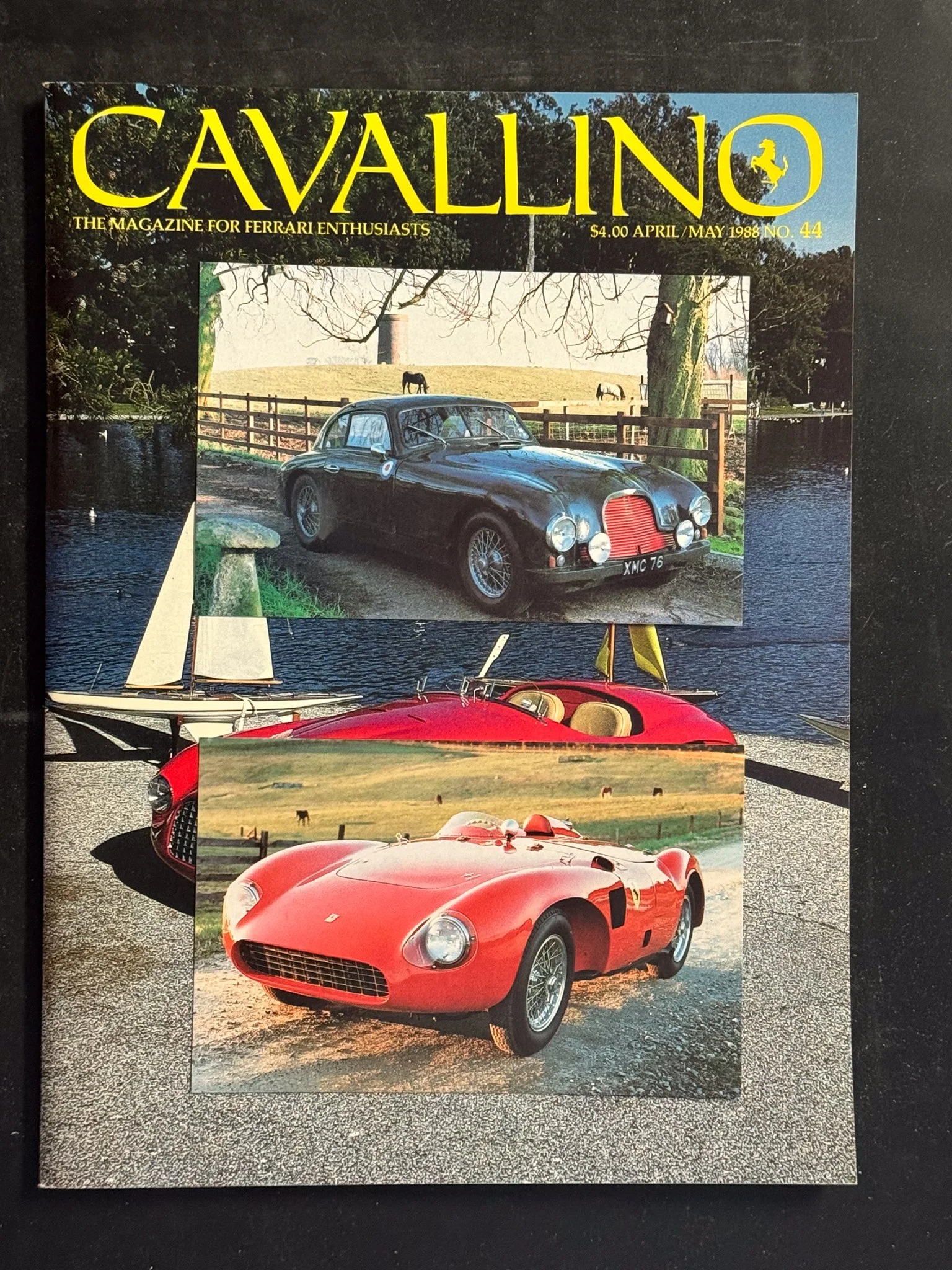 CAVALLINO-115.jpg