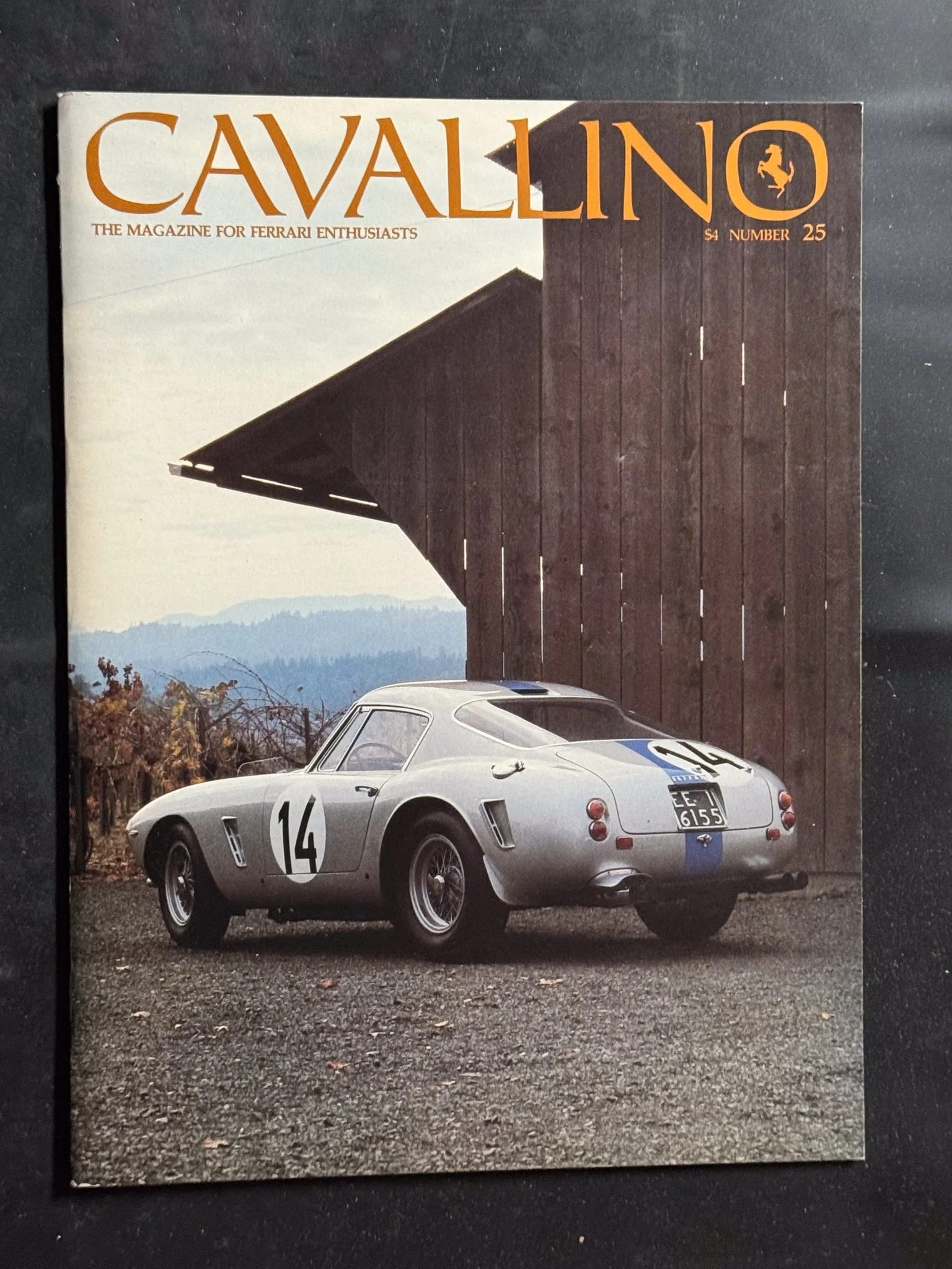 CAVALLINO-059.jpg