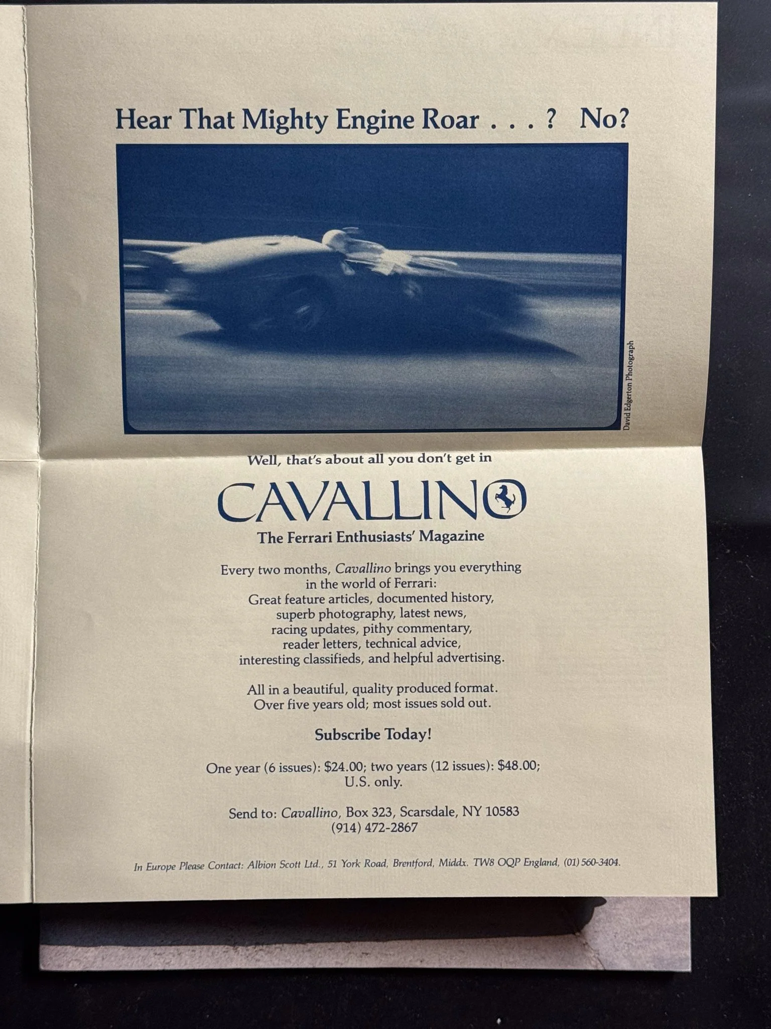 CAVALLINO-088.jpg