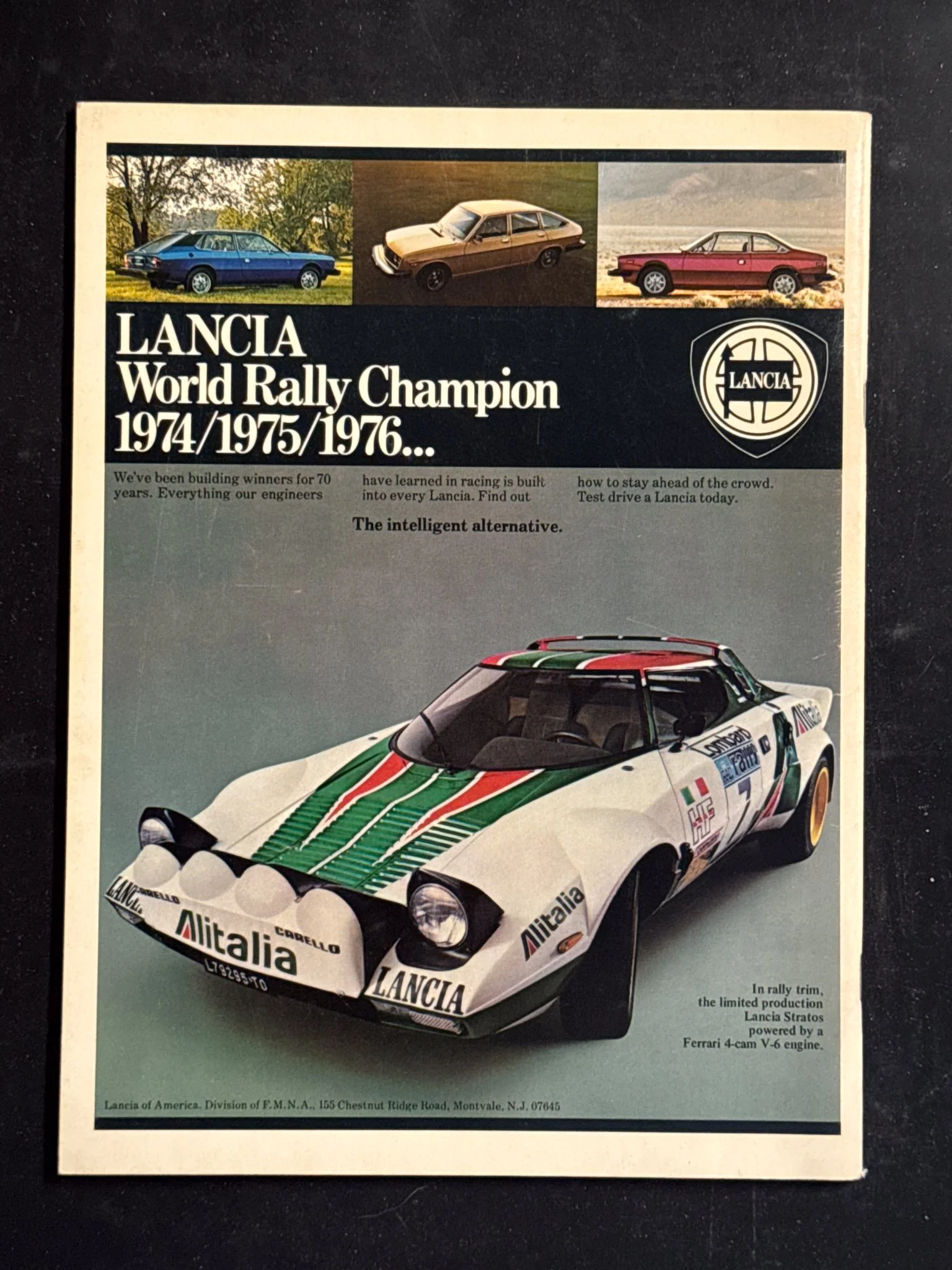 CAVALLINO-003.jpg