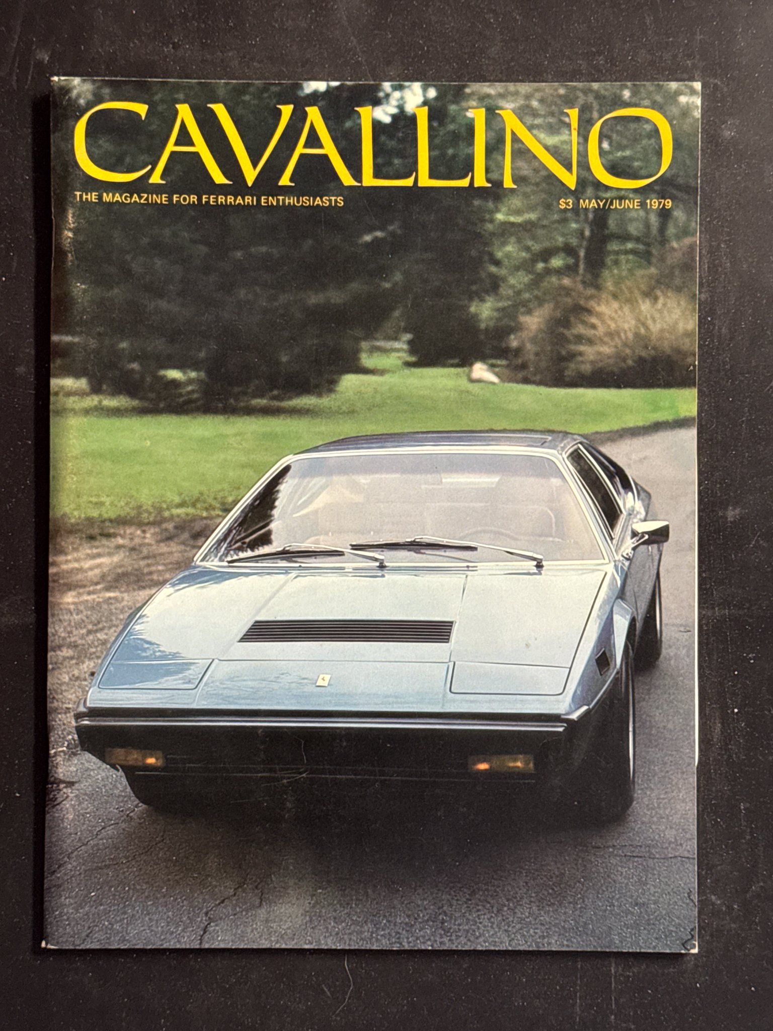CAVALLINO-010.jpg