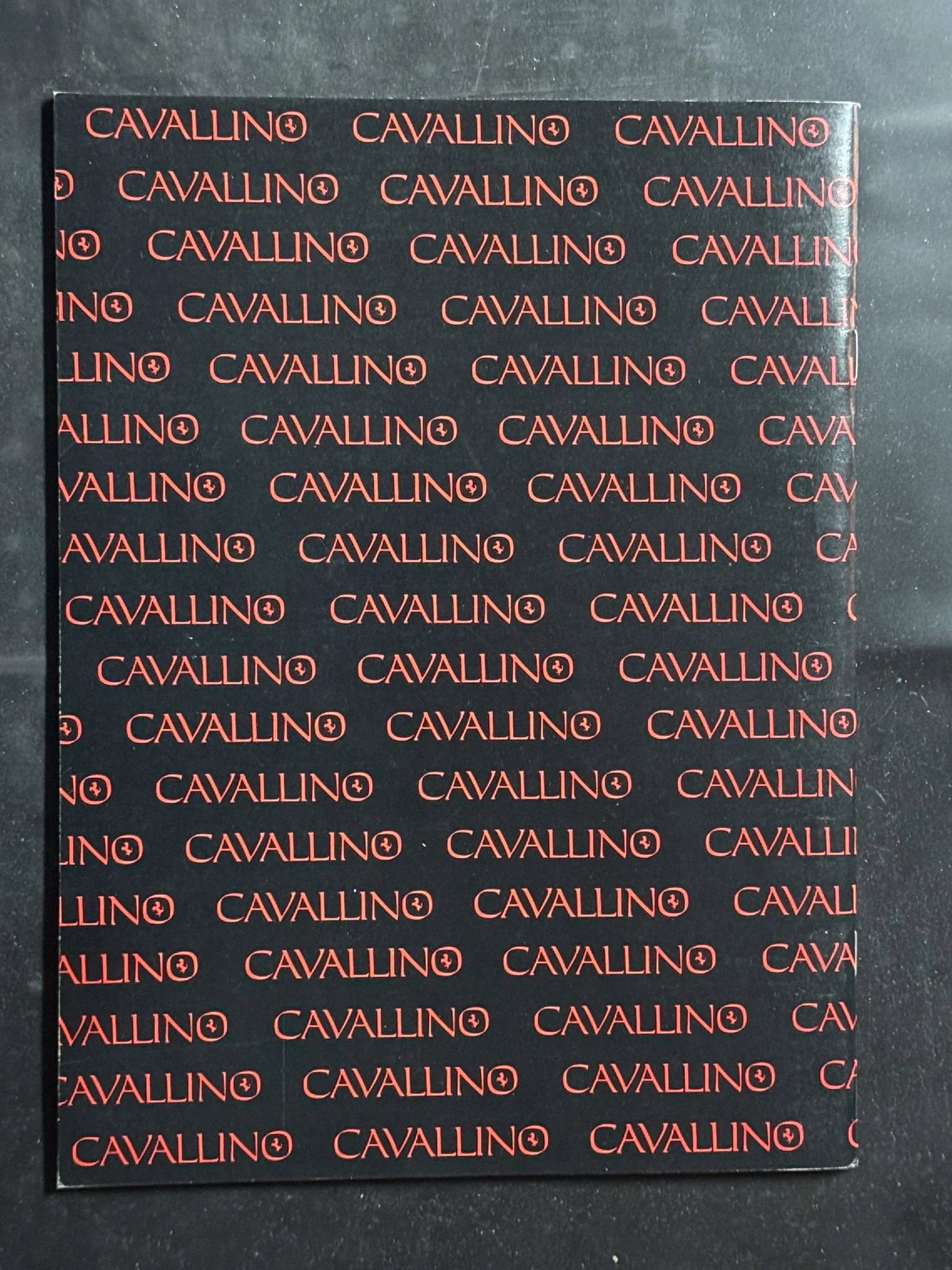 CAVALLINO-095.jpg