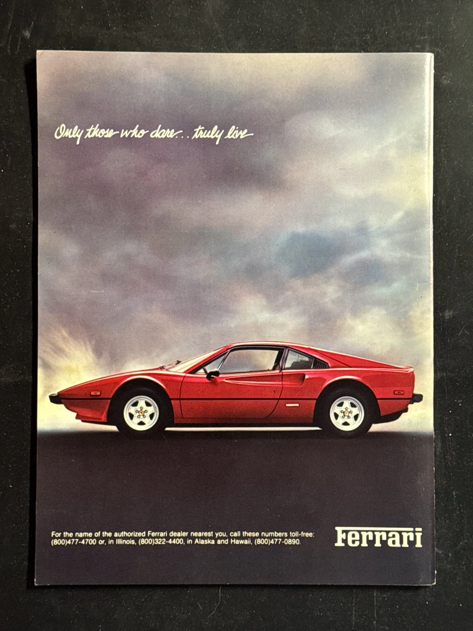 CAVALLINO-028.jpg