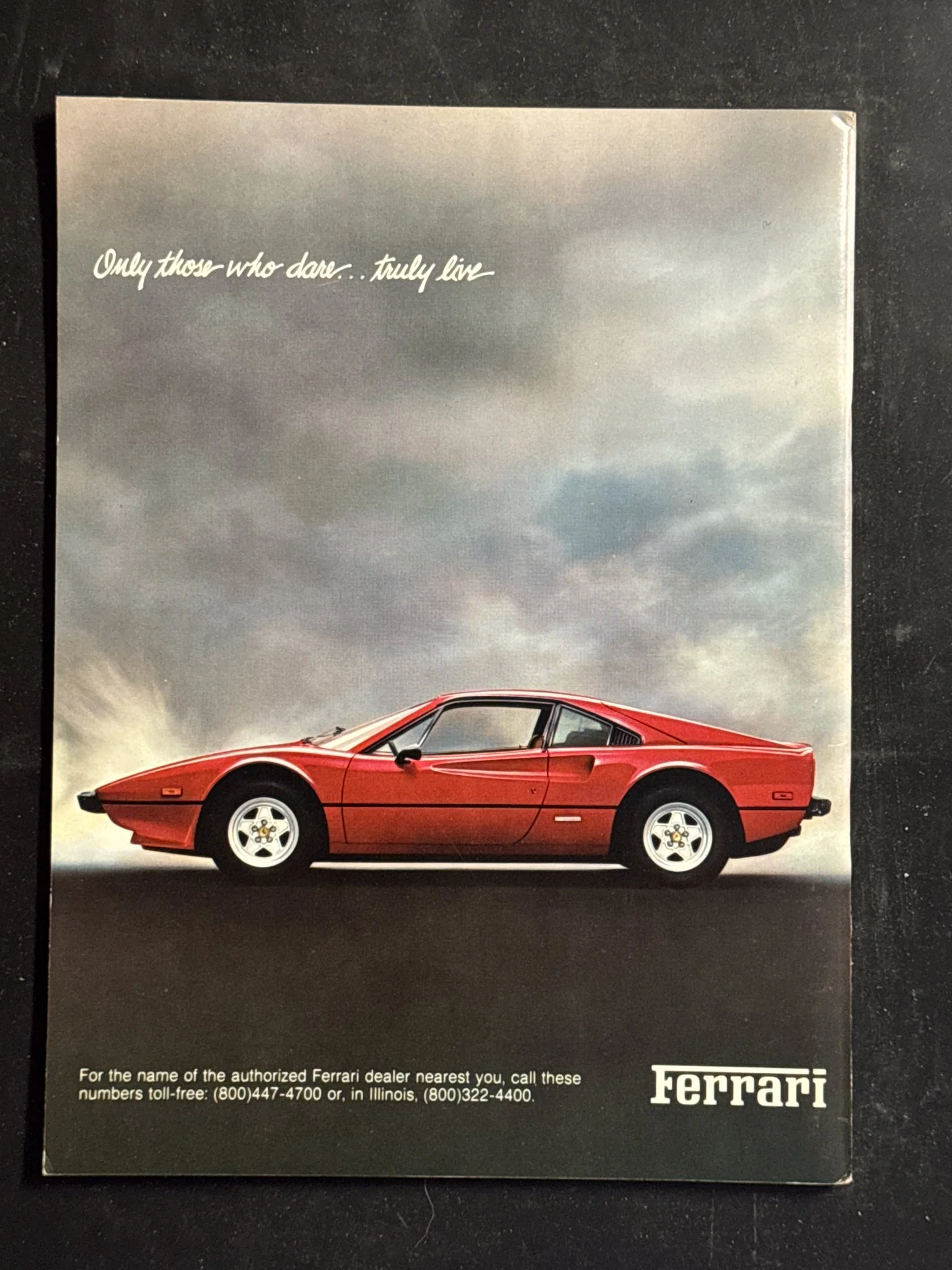 CAVALLINO-024.jpg