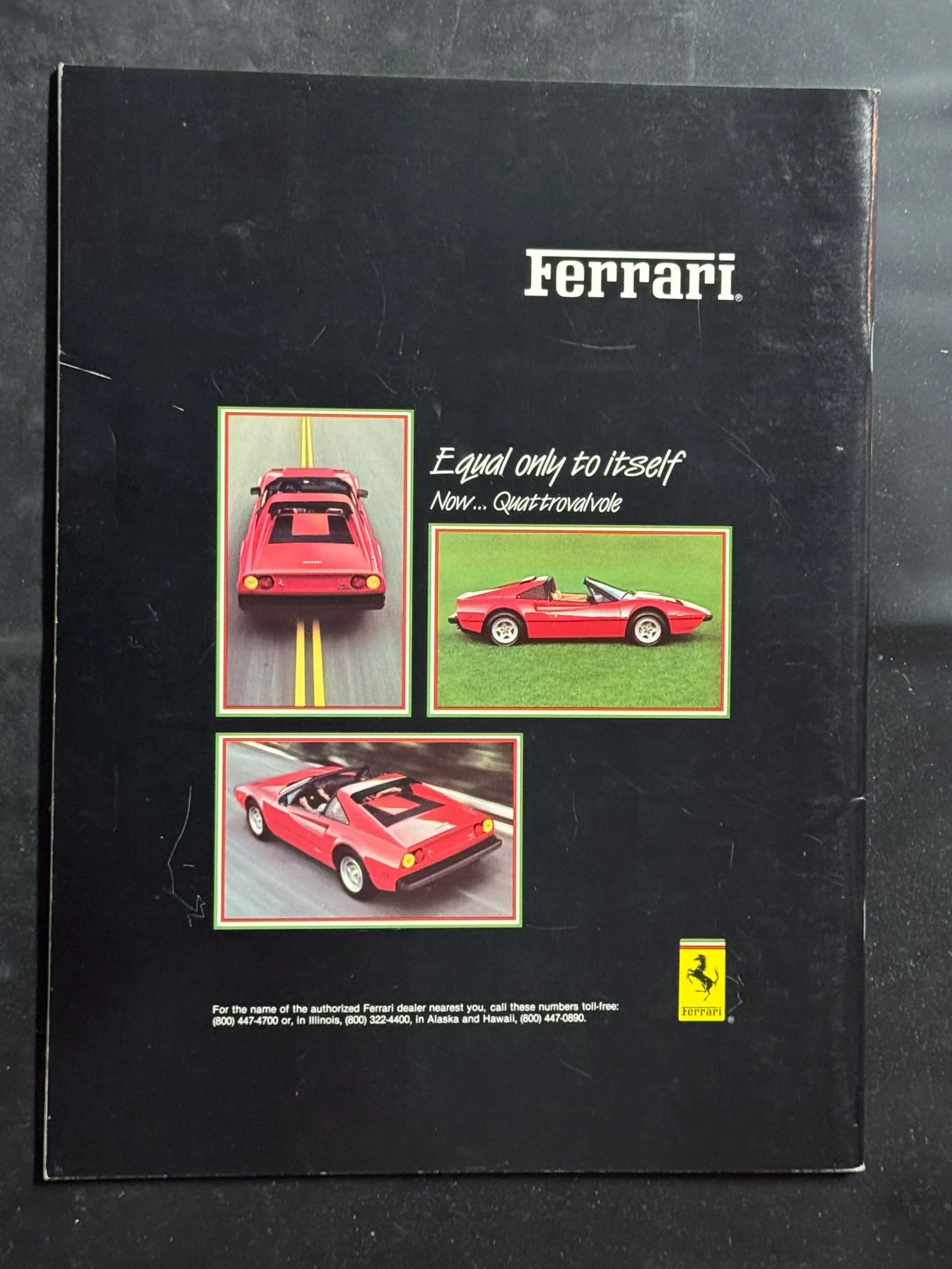 CAVALLINO-041.jpg