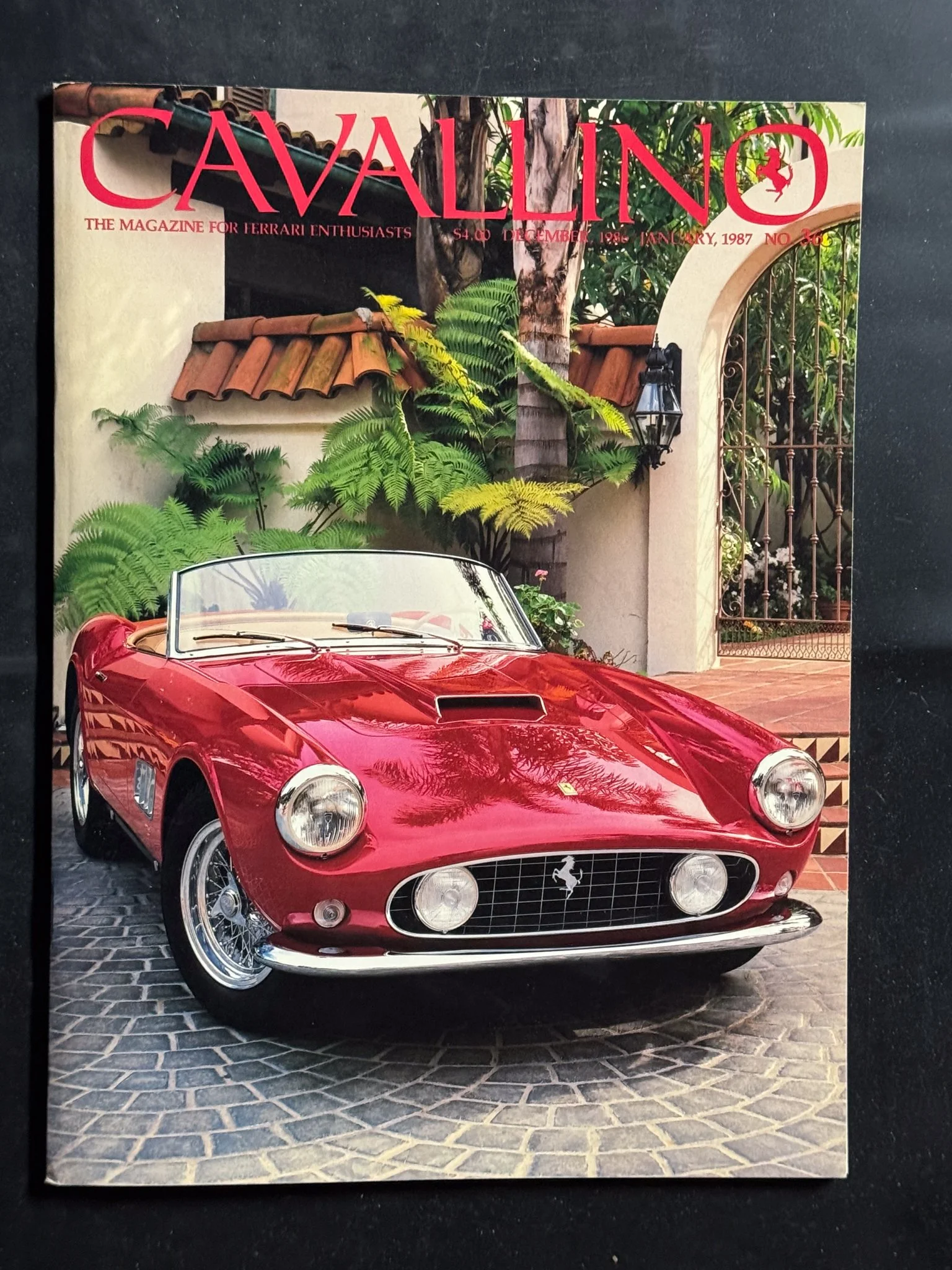 CAVALLINO-096.jpg