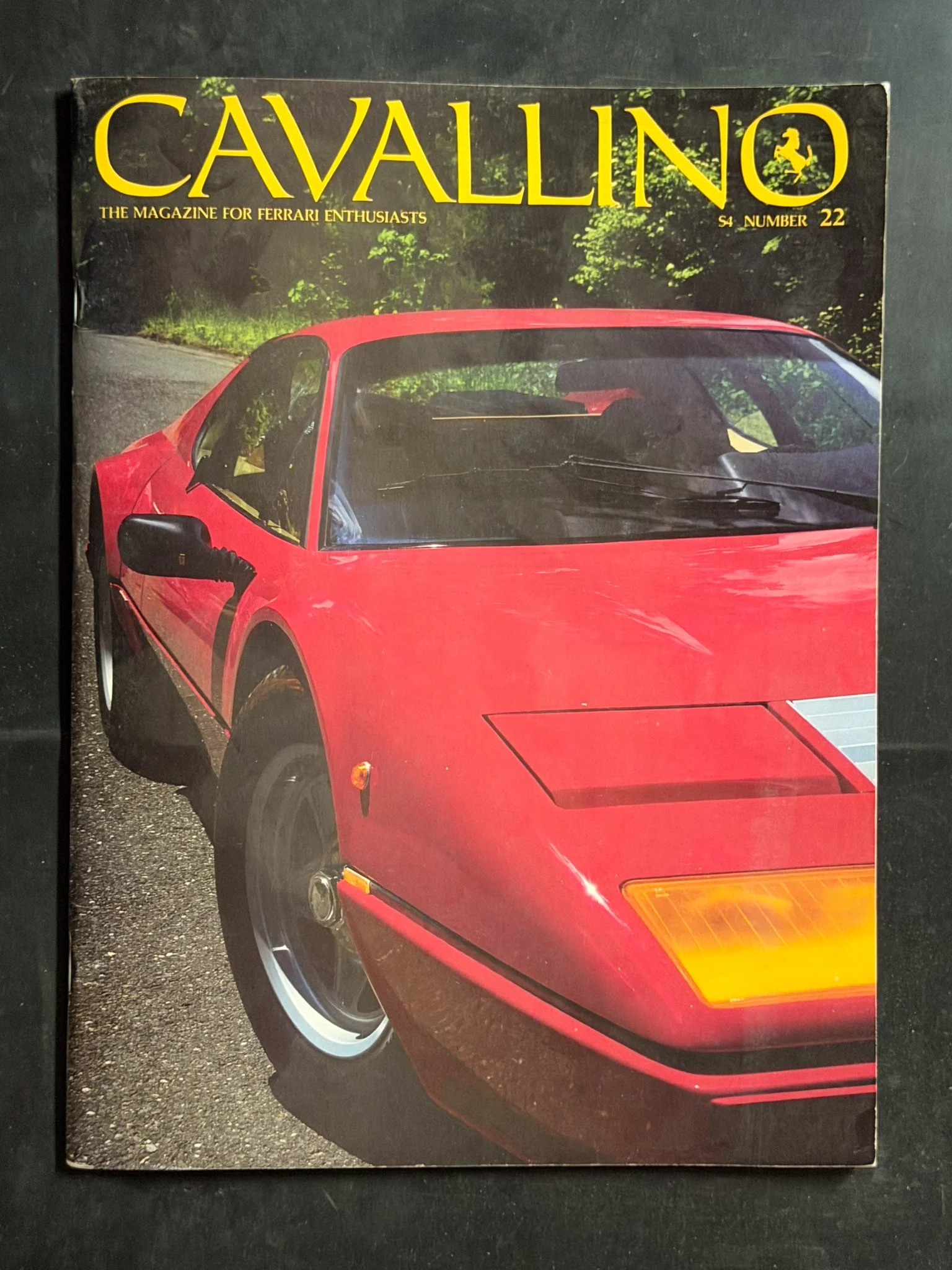 CAVALLINO-050.jpg