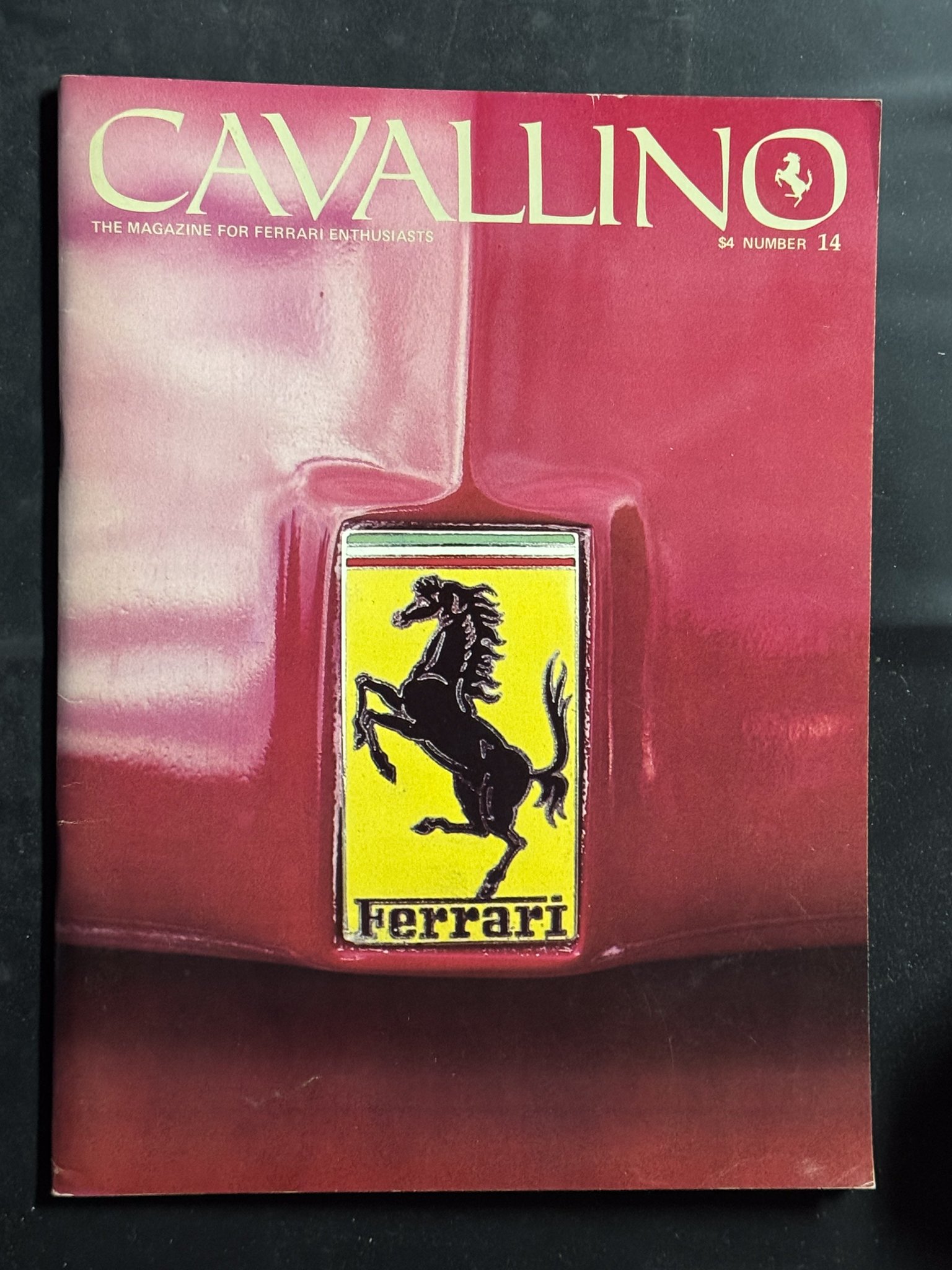 CAVALLINO-031.jpg