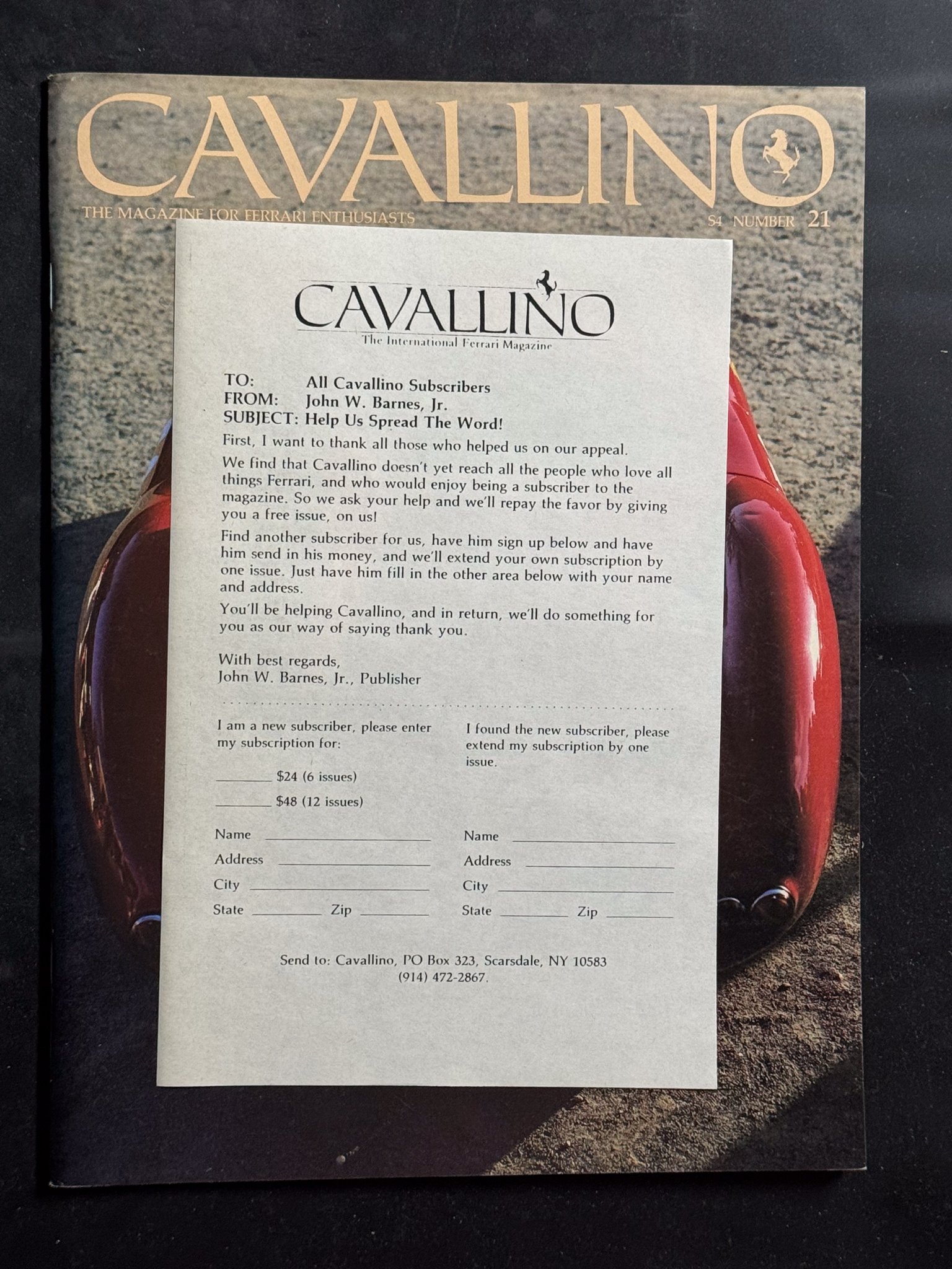 CAVALLINO-049.jpg