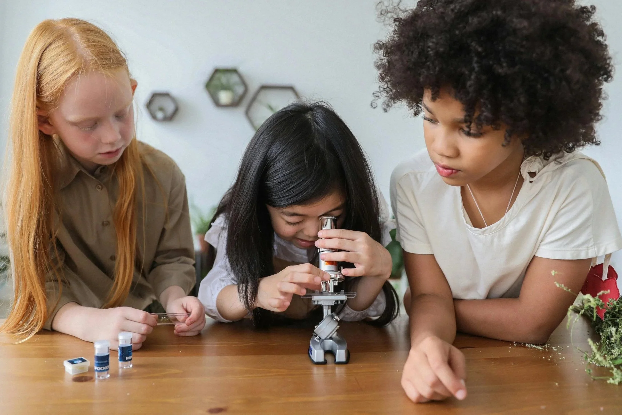 Homeschool Rally: STEAM