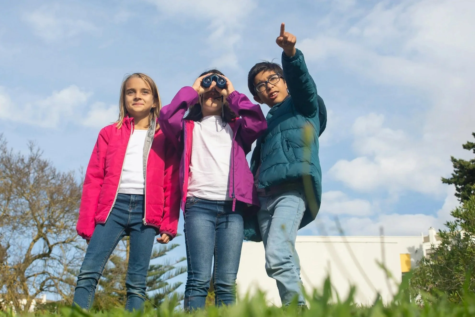 Homeschool Explorers: Eye on the Sky: Patterns in Nature