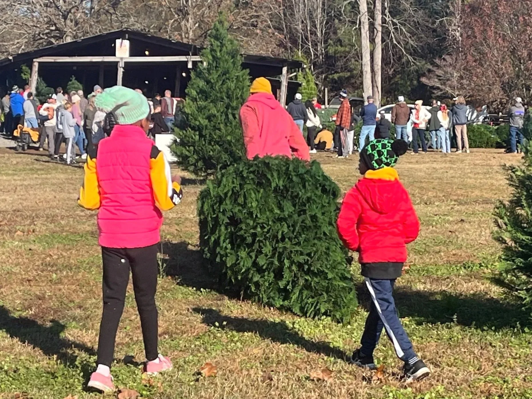 Our Family’s Favorite Holiday Traditions + How We Do “Christmas School” in December