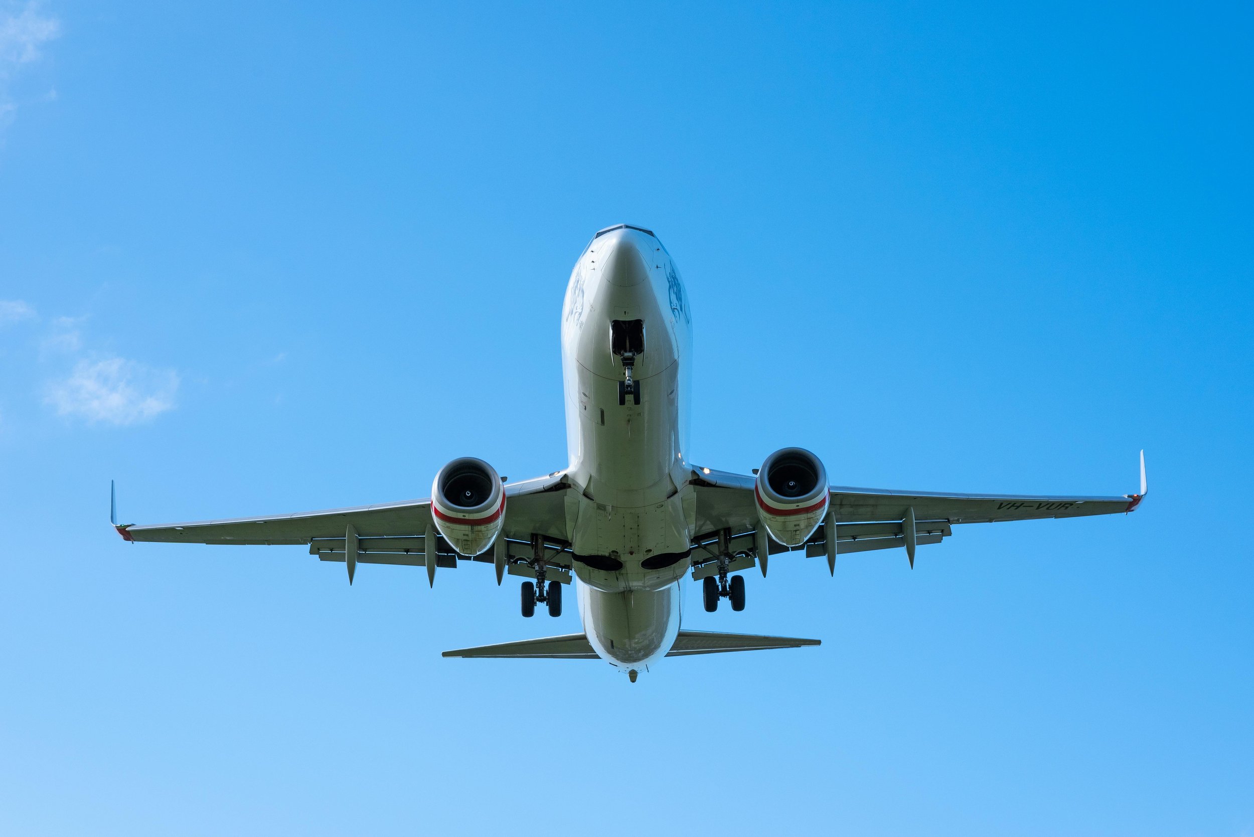 Wind &amp; Wings: The Science of Flight