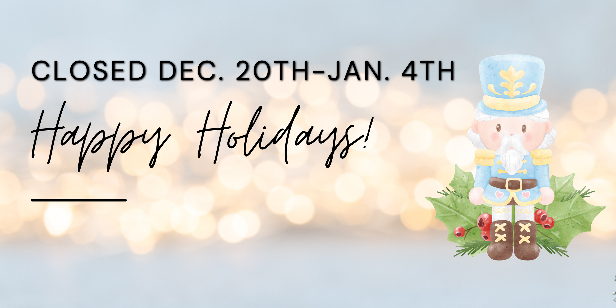 Aesthetic Shop Story Website Homepage Banner (6).png