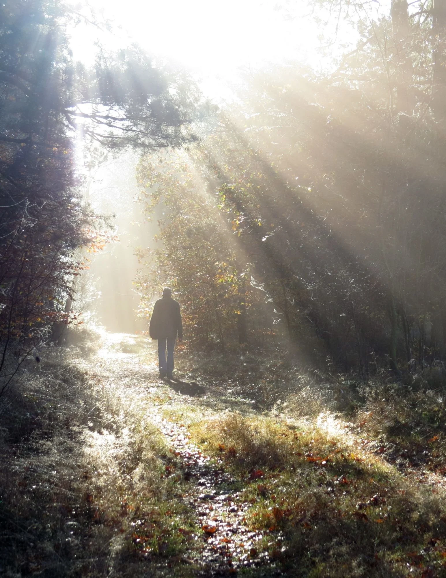Fall 2025: Walking Through Grief, A Therapy Group
