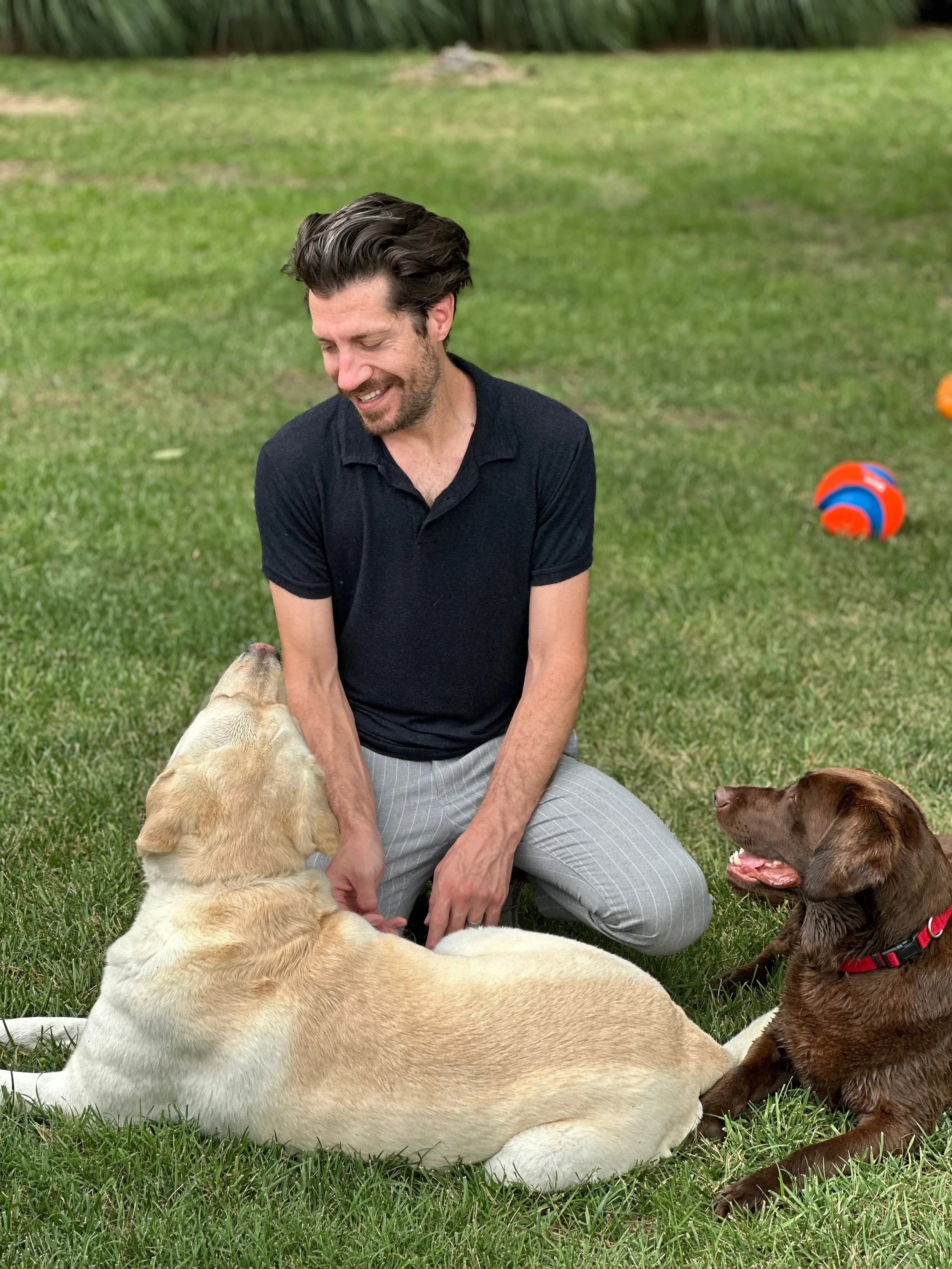 owner of the polite dog in northern virginia