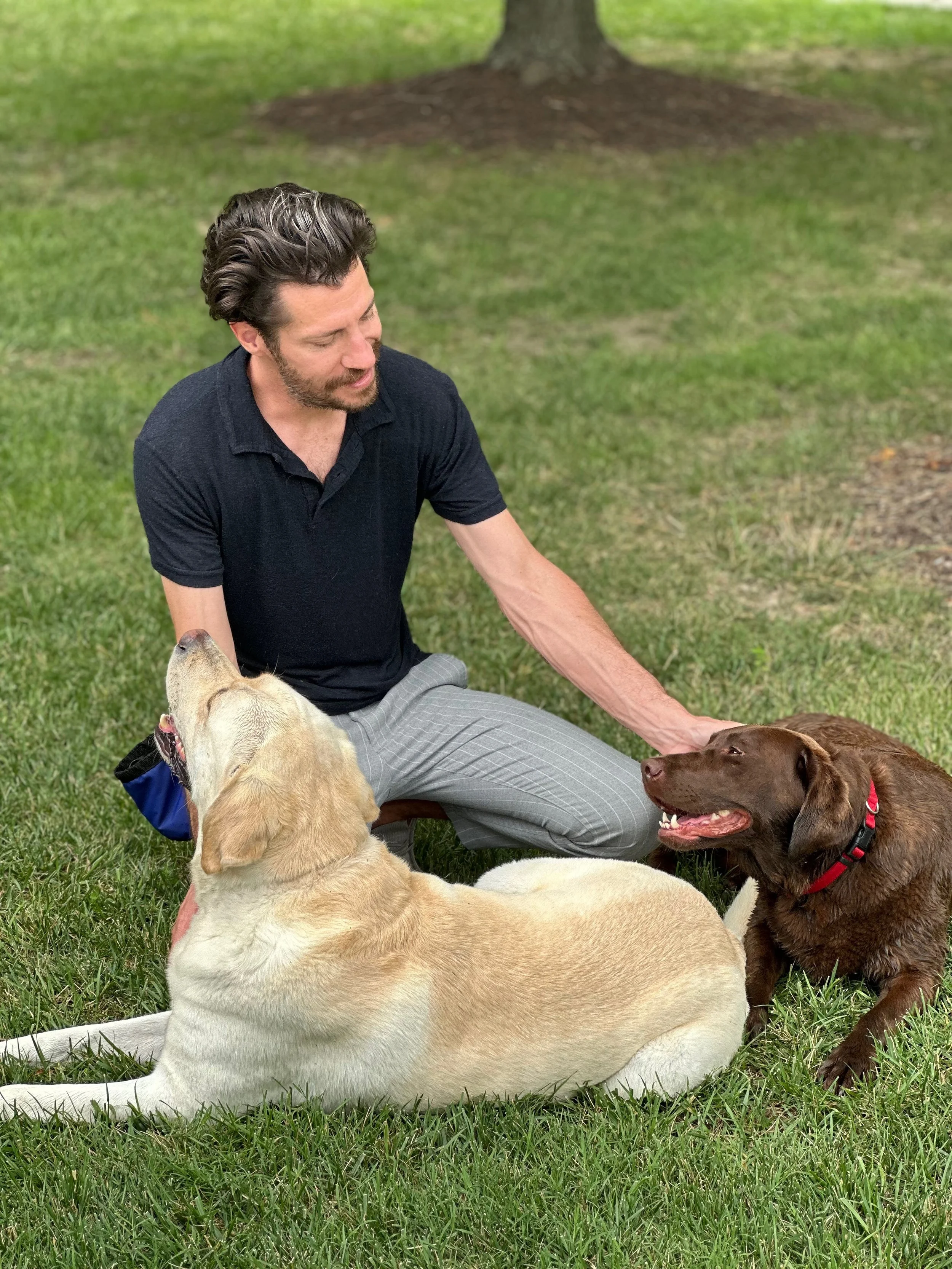 head trainer of polite dog working with two labs at fairfax park