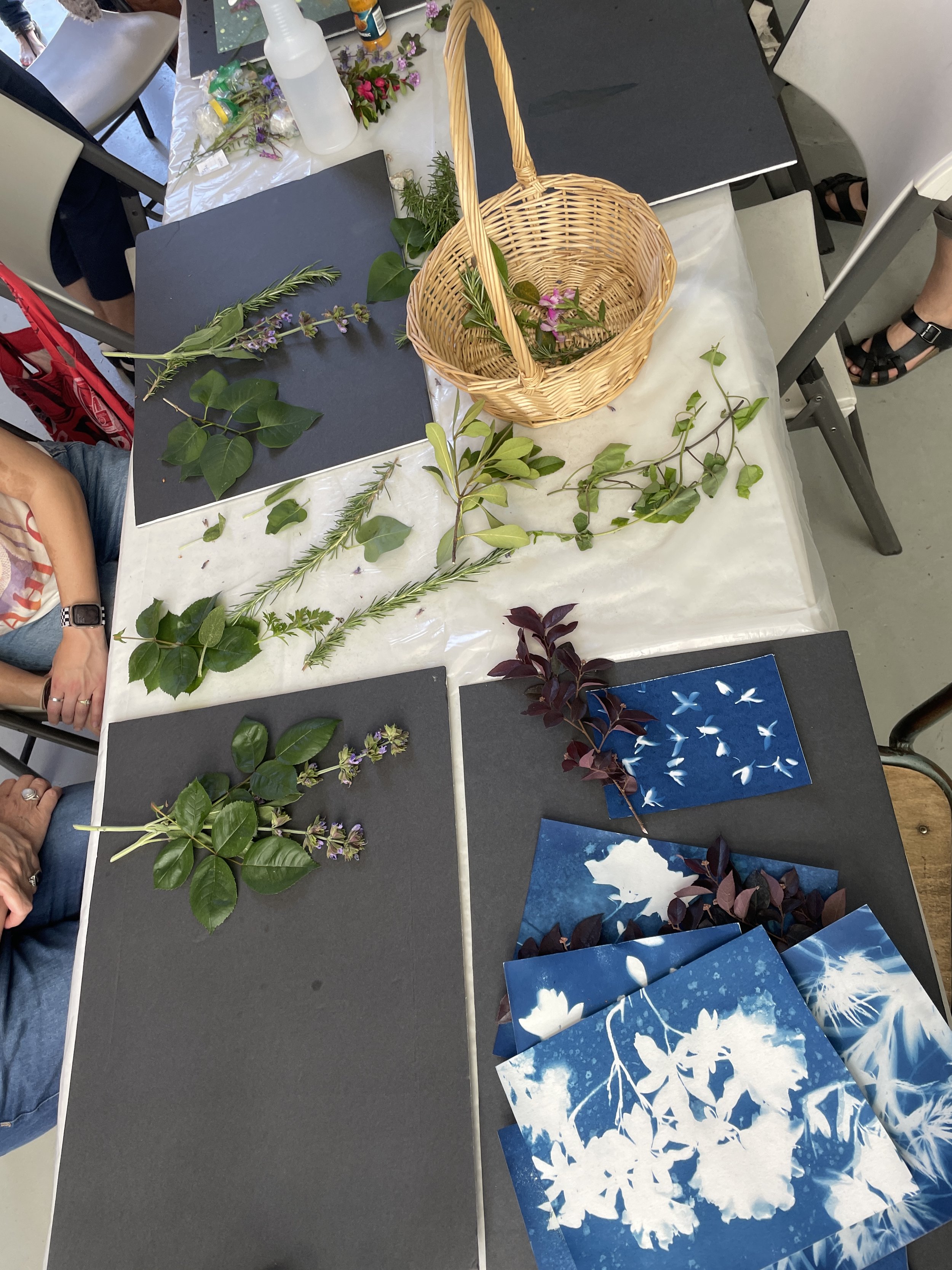Rosalva Willow: Women's Cyanotype Workshop